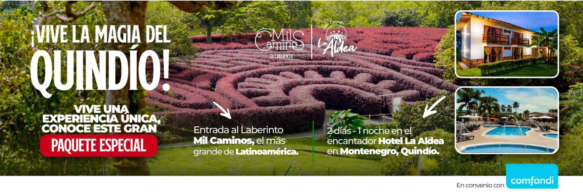 Catalogo de Catálogo Comfandi 7 de diciembre al 10 de diciembre 2025 - Pag 2