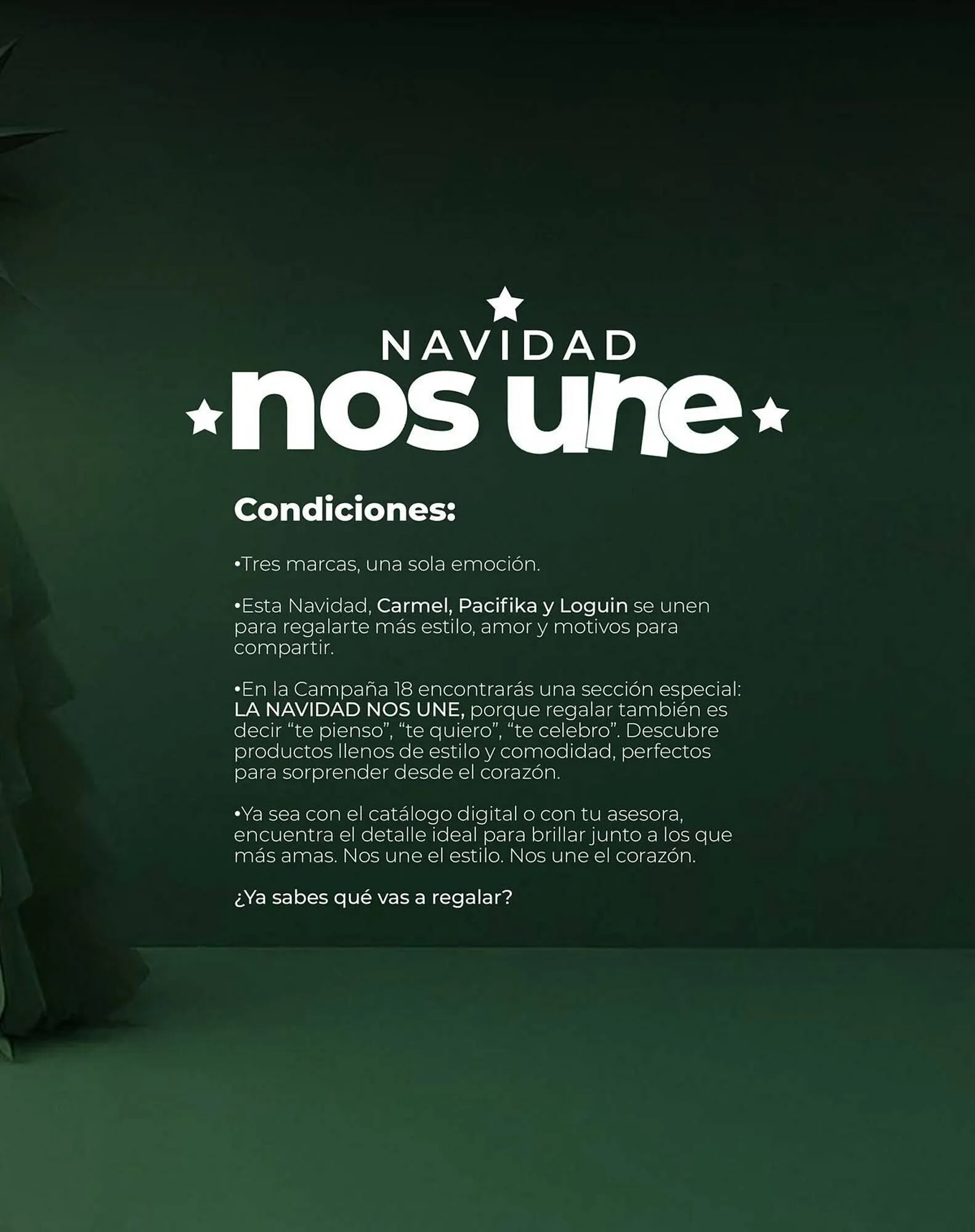 Catalogo de Catálogo Carmel 9 de octubre al 31 de diciembre 2025 - Pag 167