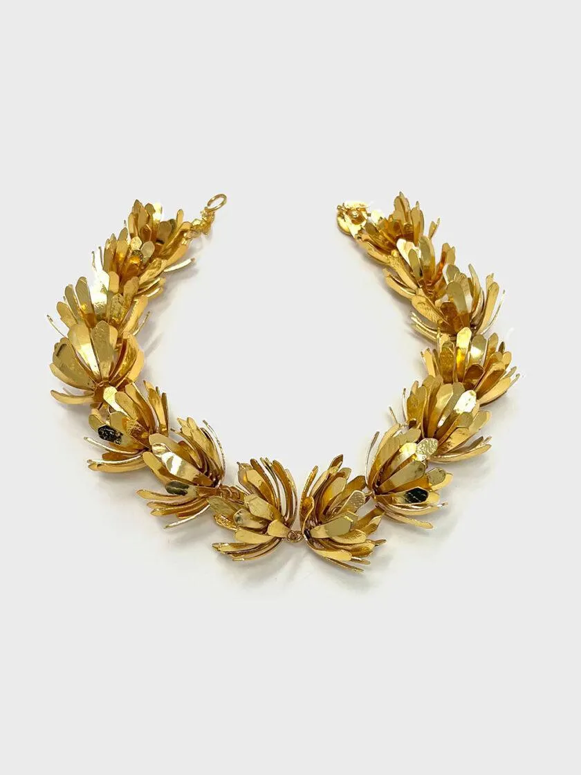 Collar frailejones del páramo