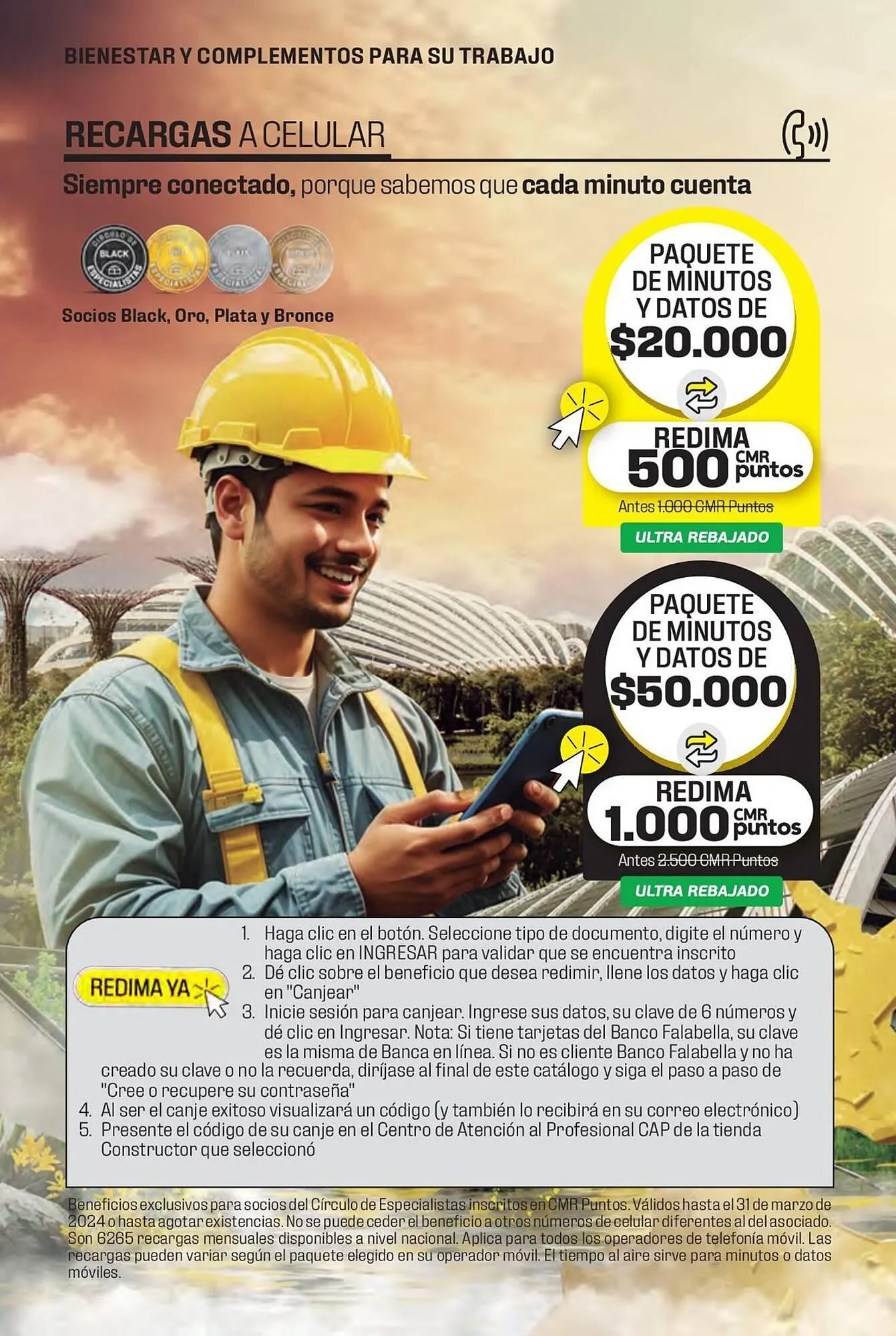 Catalogo de Catálogo Constructor 15 de enero al 31 de marzo 2024 - Pag 11