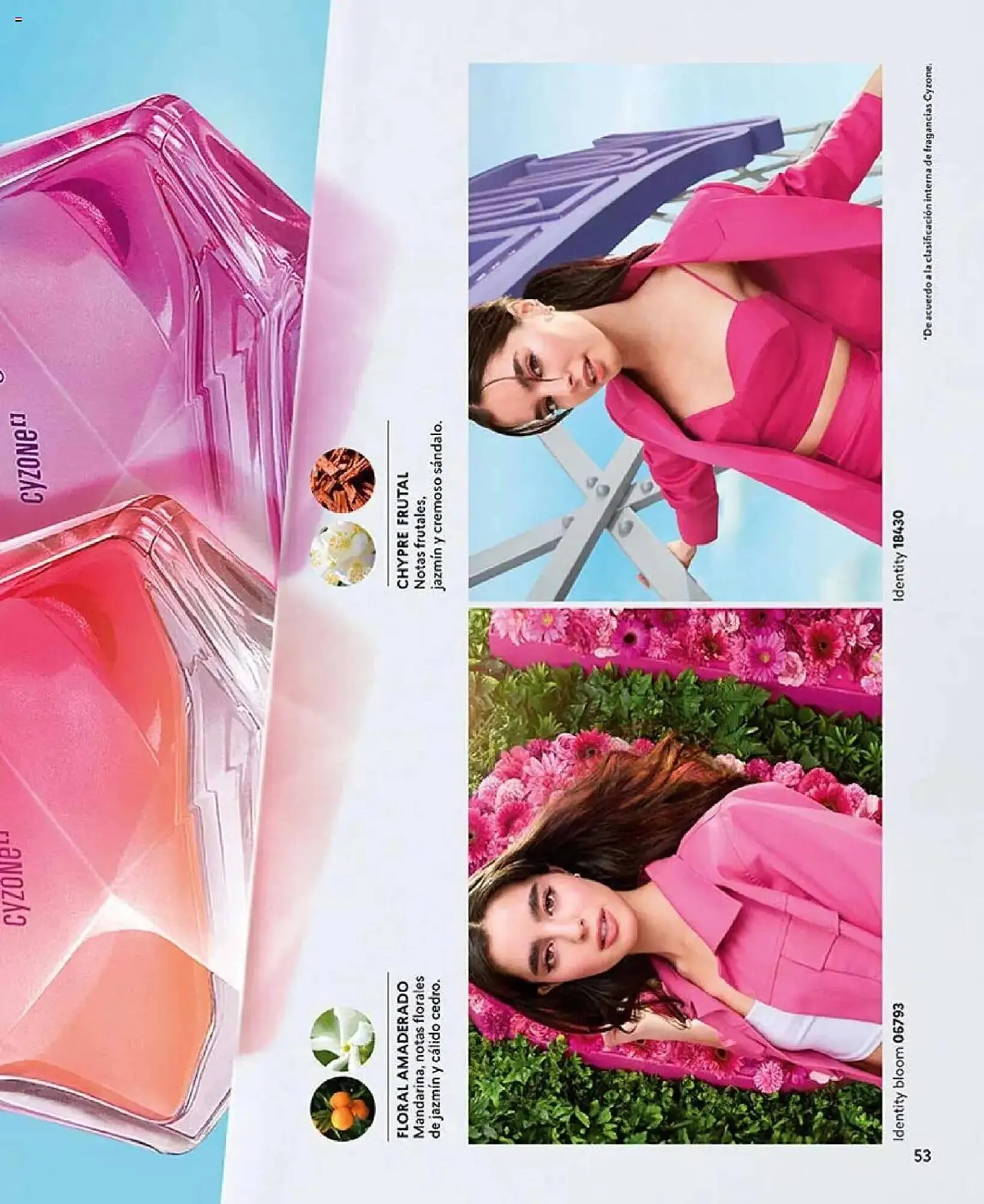 Catalogo de Catálogo Cyzone 9 de julio al 1 de septiembre 2025 - Pag 53