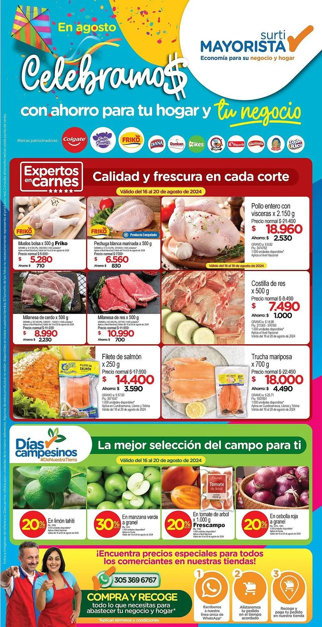 Catálogo Surtimayorista - 1