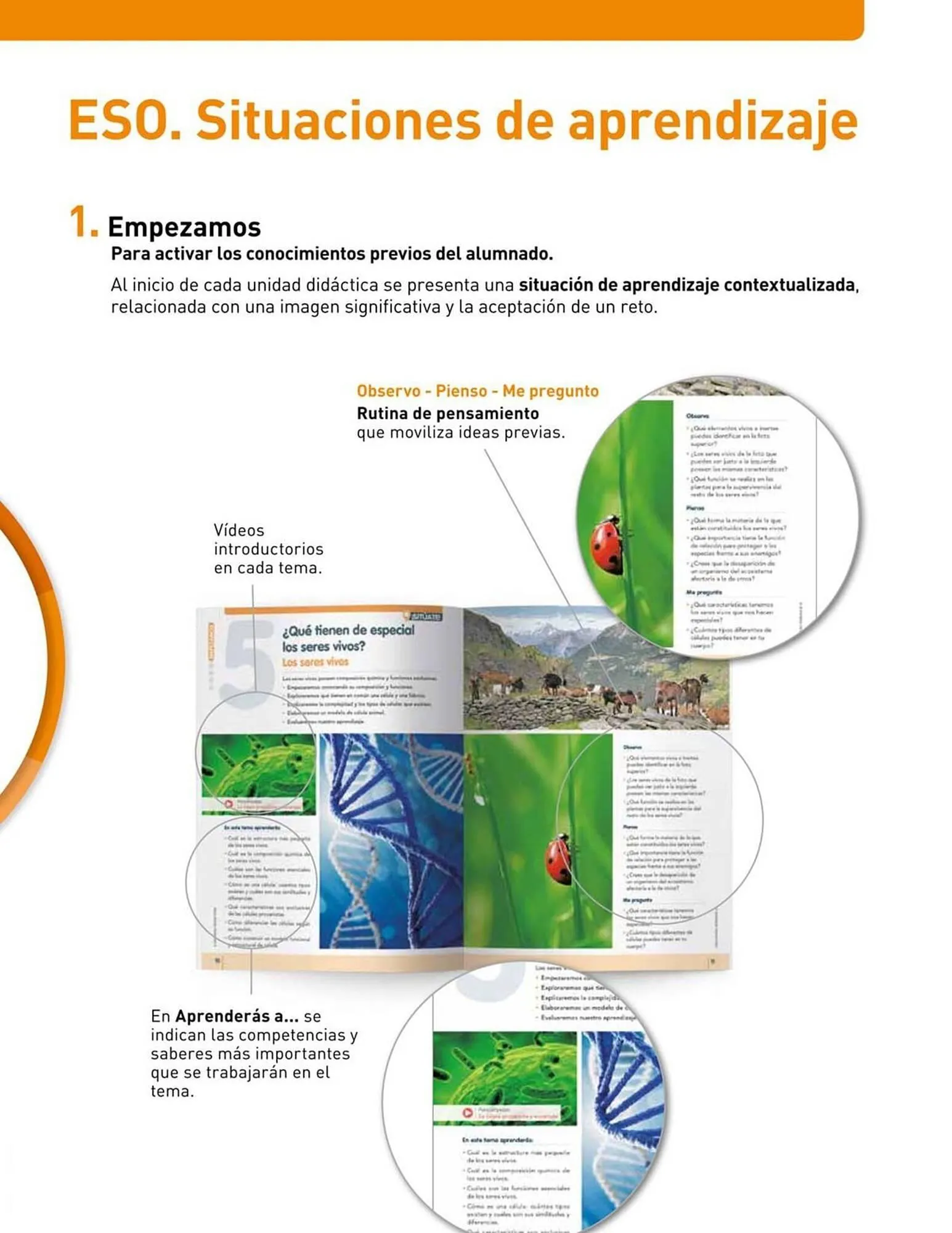 Catalogo de Catálogo Vicens Vives 20 de abril al 31 de mayo 2026 - Pag 3