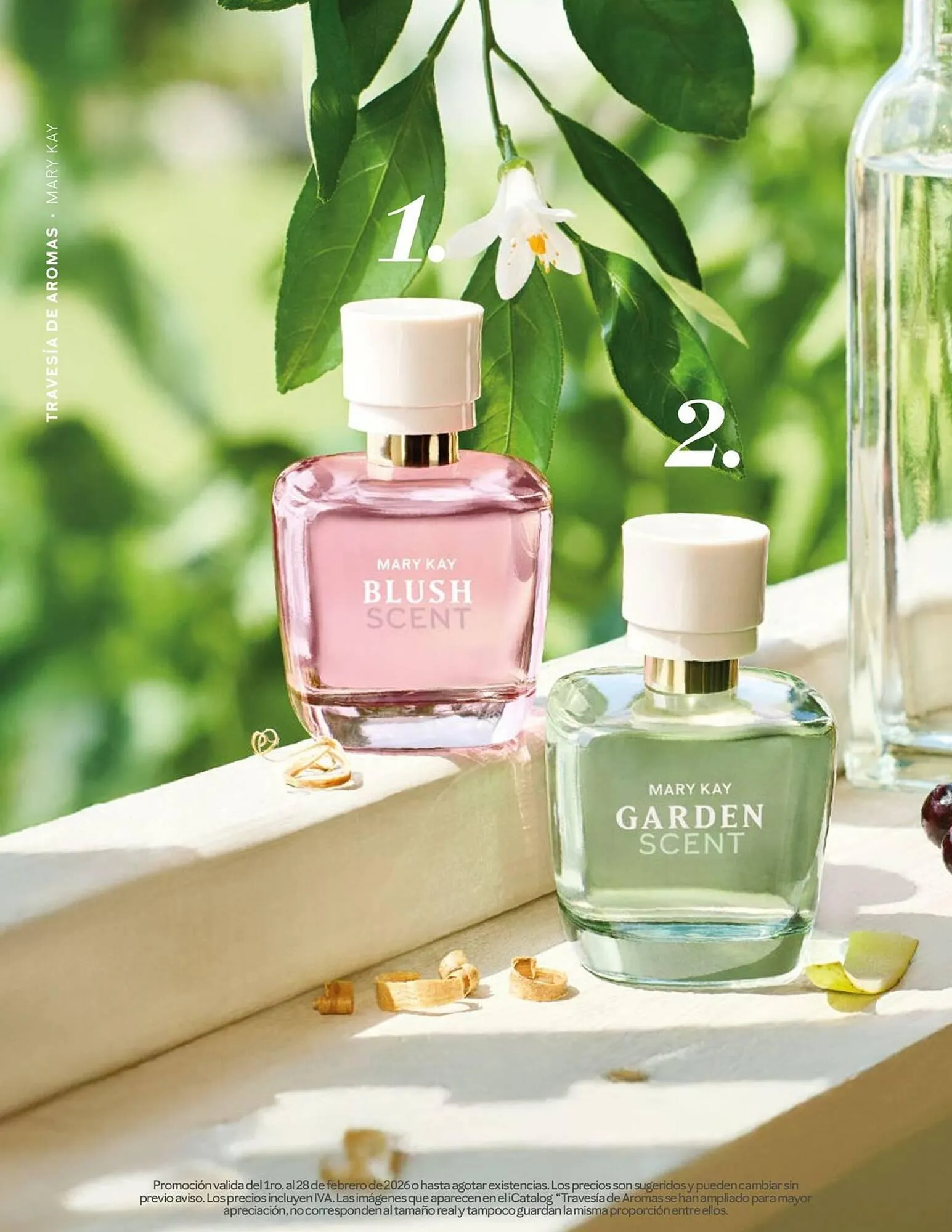 Catalogo de Catálogo Mary Kay 2 de febrero al 31 de marzo 2026 - Pag 2