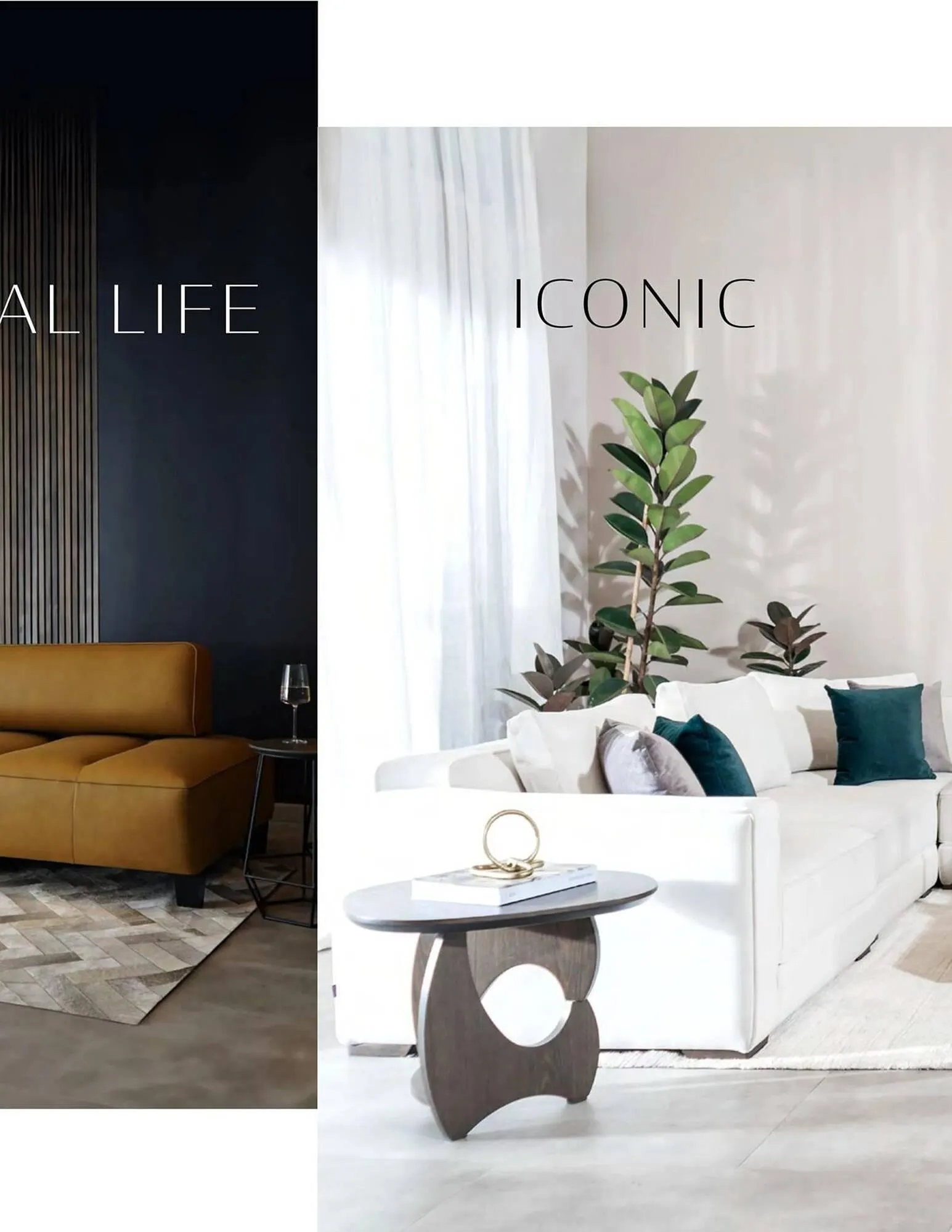 Catalogo de Catálogo Aristas 9 de febrero al 31 de diciembre 2024 - Pag 3