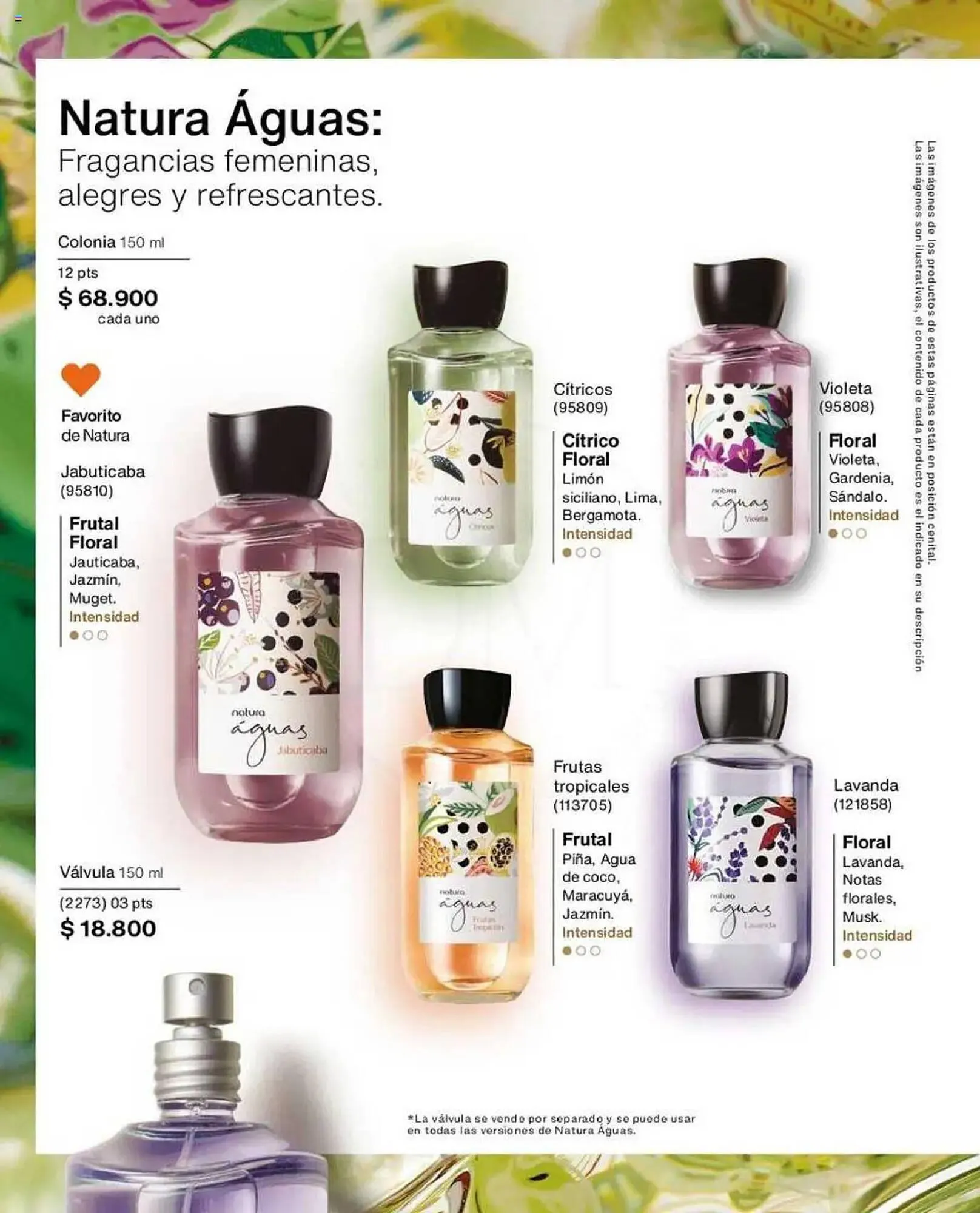 Catalogo de Catálogo Natura 12 de mayo al 15 de junio 2025 - Pag 44