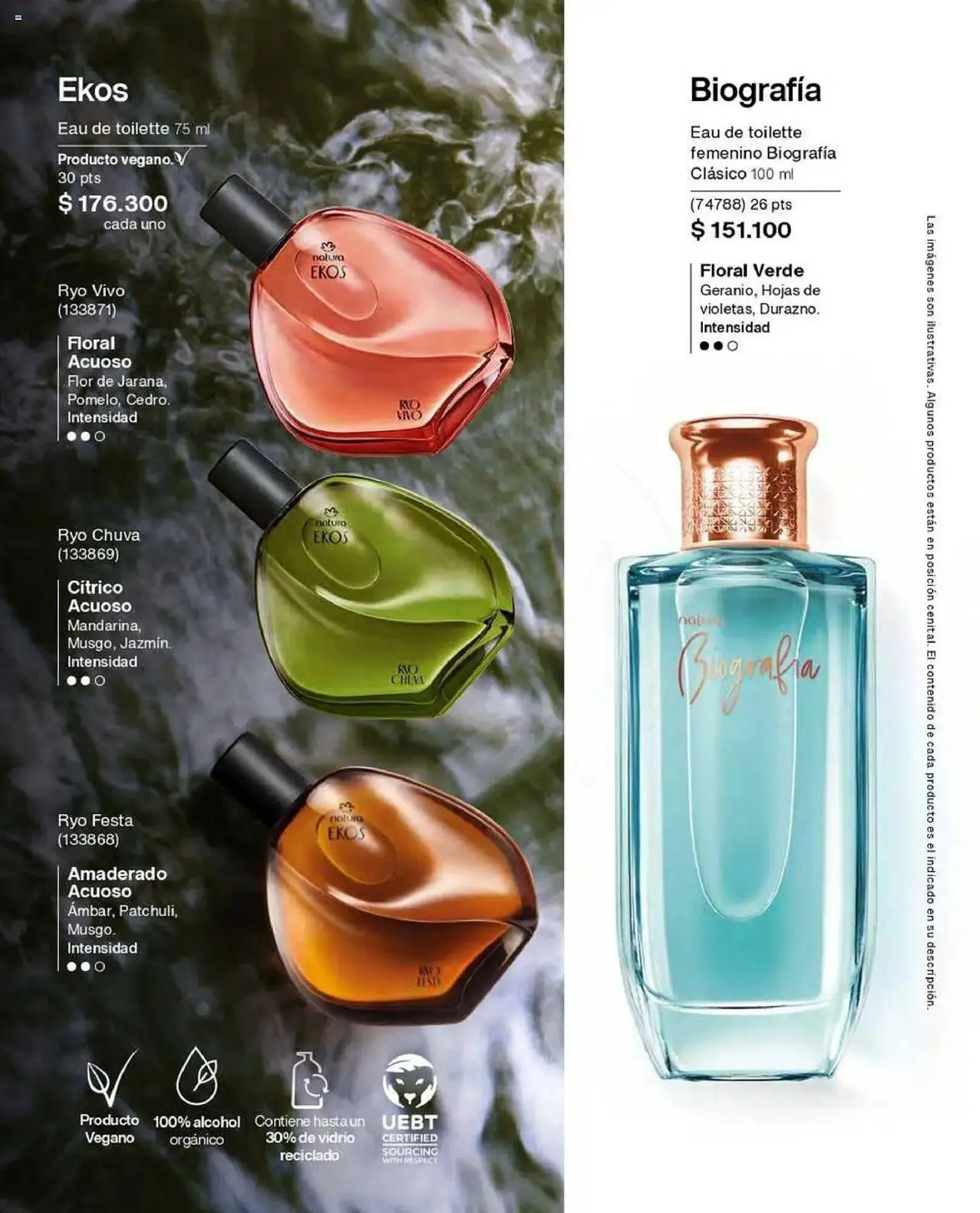 Catalogo de Catálogo Natura 11 de junio al 15 de julio 2025 - Pag 23