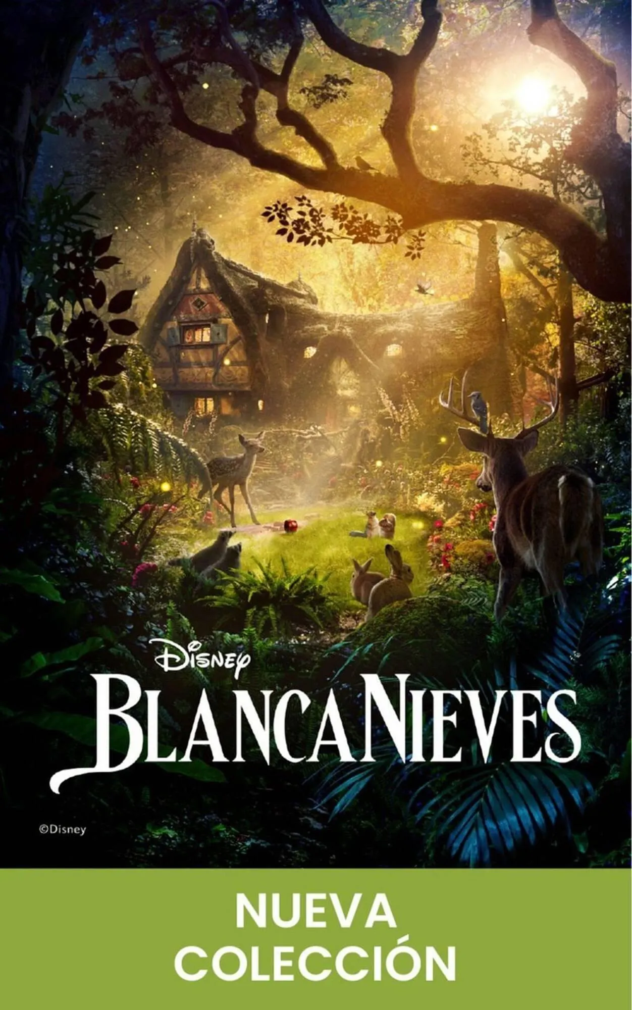 Catalogo de Catálogo Koaj 2 de mayo al 31 de mayo 2025 - Pag 5