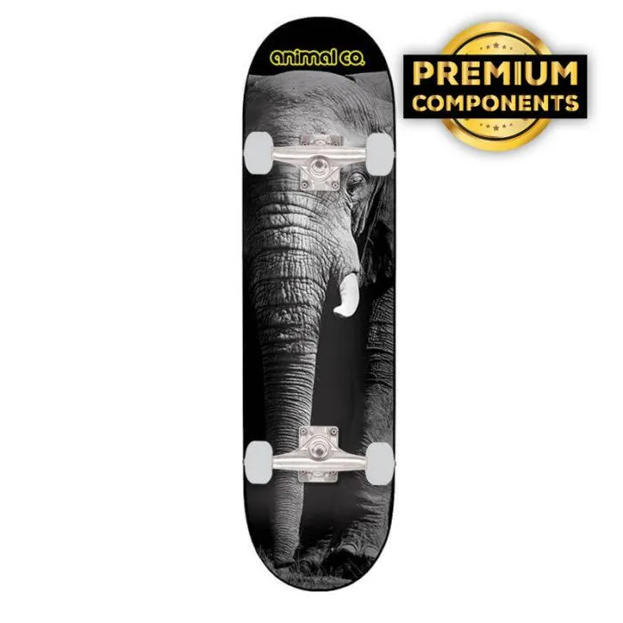 Tabla Completa Animal Co Retrato MONOPATIN