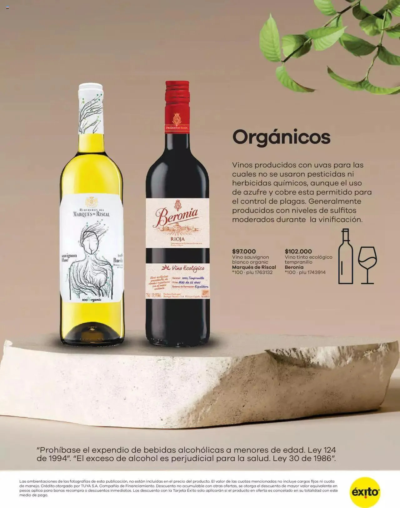 Catalogo de Éxito - Reunión de Negocios Vino Tinto 8 de agosto al 21 de agosto 2023 - Pag 5