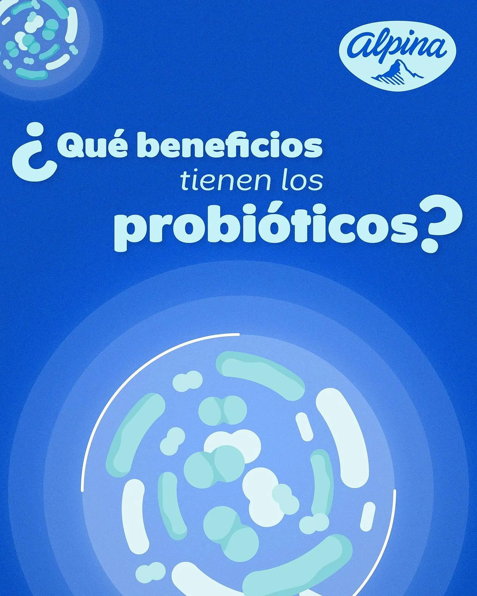 Catálogo Alpina - 1