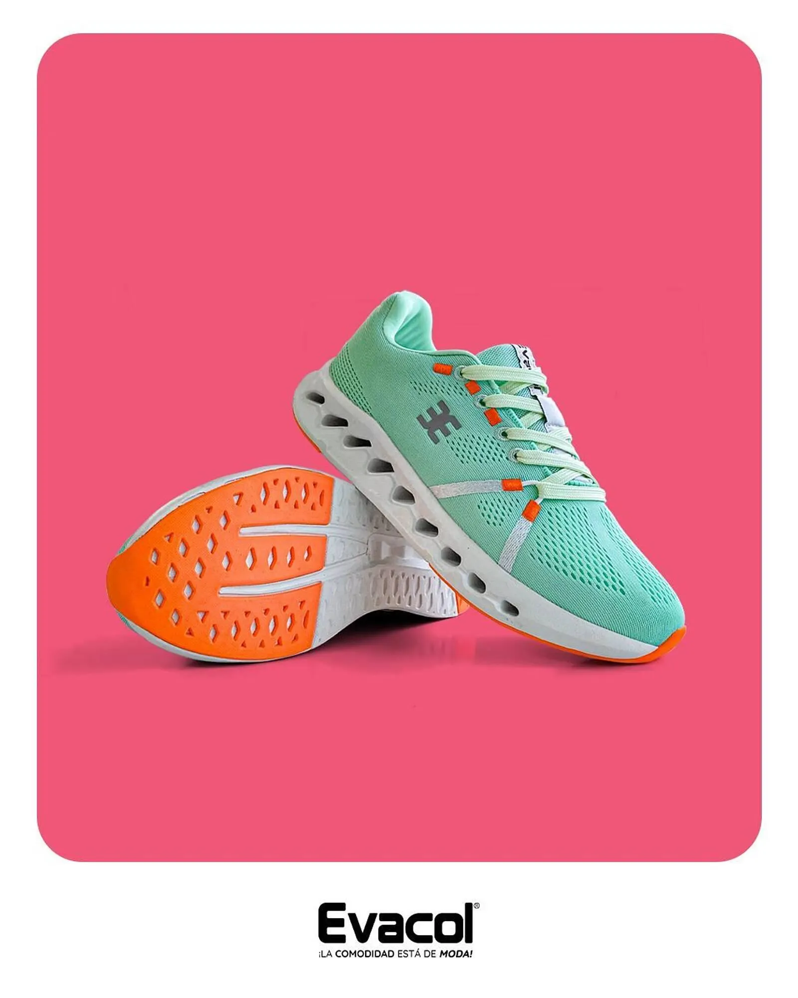 Catalogo de Catálogo Evacol 1 de febrero al 28 de febrero 2025 - Pag 2