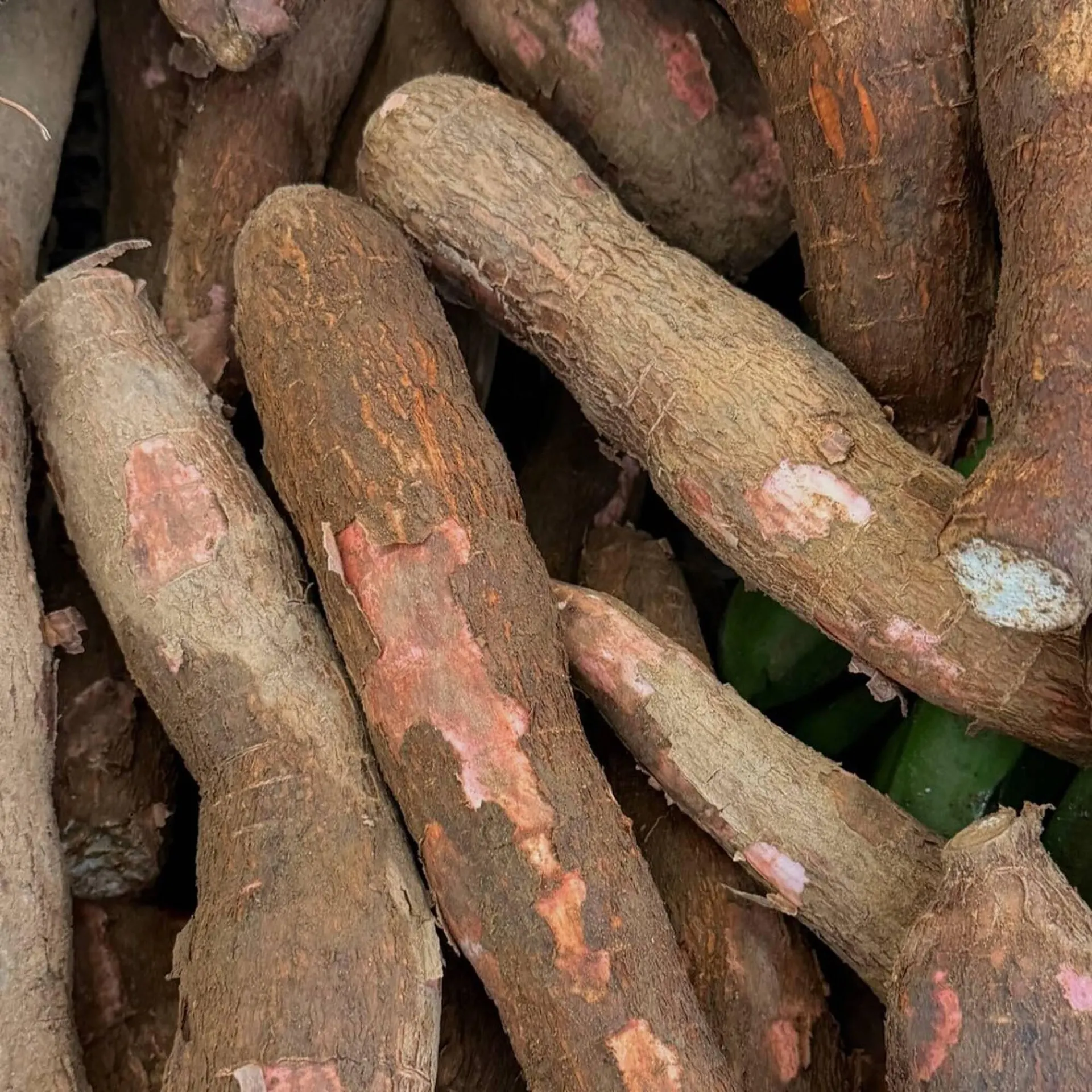 Catalogo de Catálogo Éxito 1 de enero al 7 de enero 2026 - Pag 5