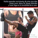 Programa de entrenamiento en casa - Tap Out XT