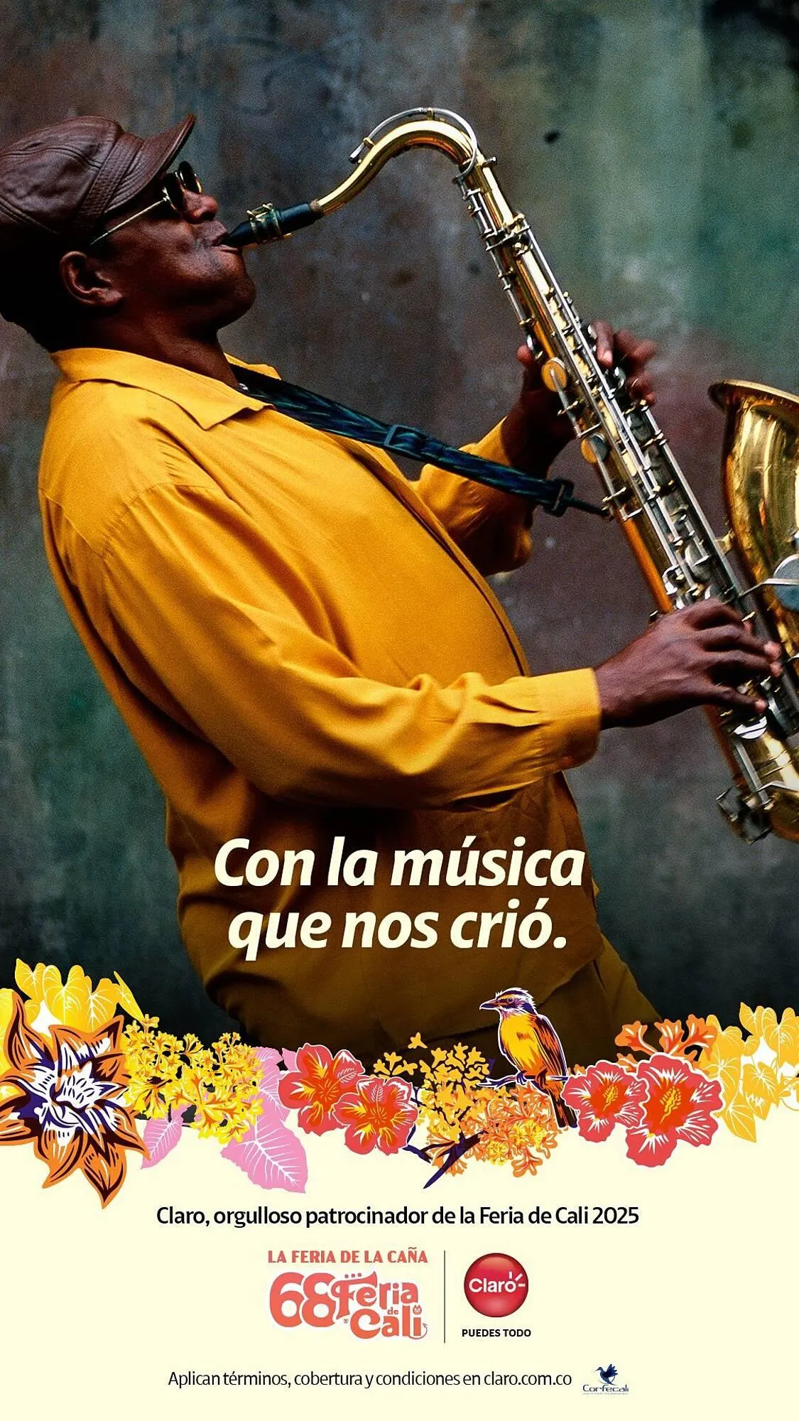 Catalogo de Catálogo Claro 27 de diciembre al 31 de diciembre 2025 - Pag 4