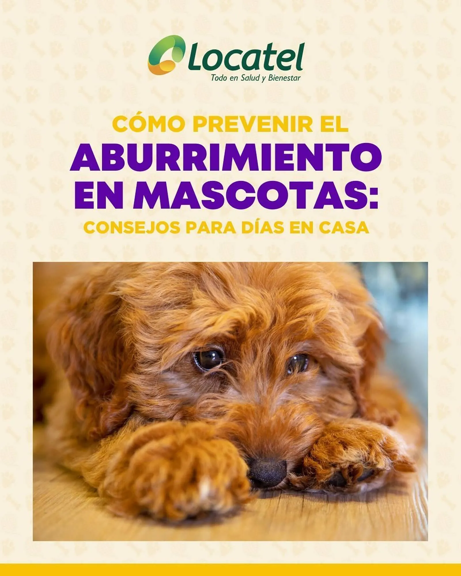 Catálogo Locatel - 1