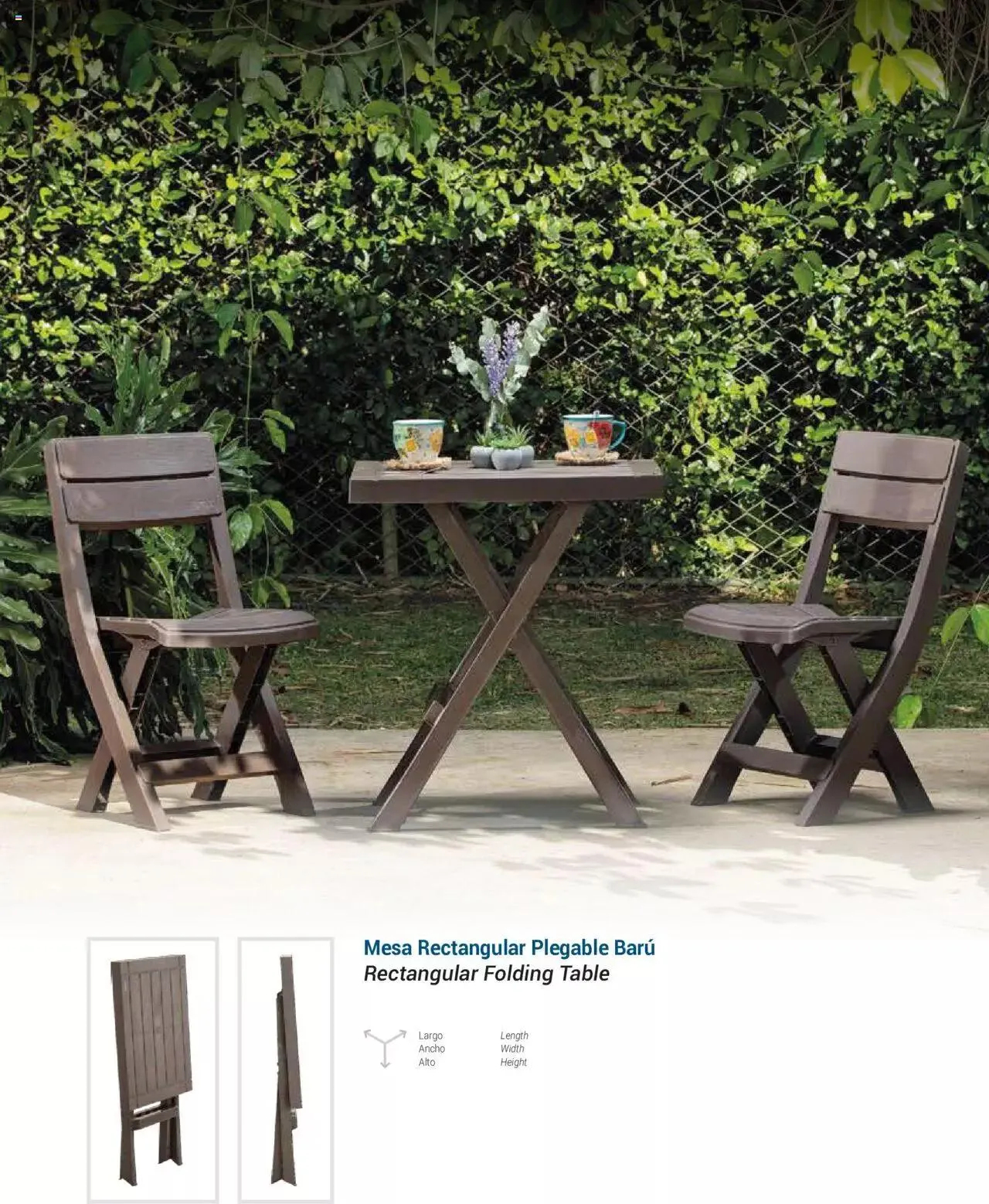 Catalogo de Rimax - Folleto 1 de marzo al 31 de diciembre 2024 - Pag 21