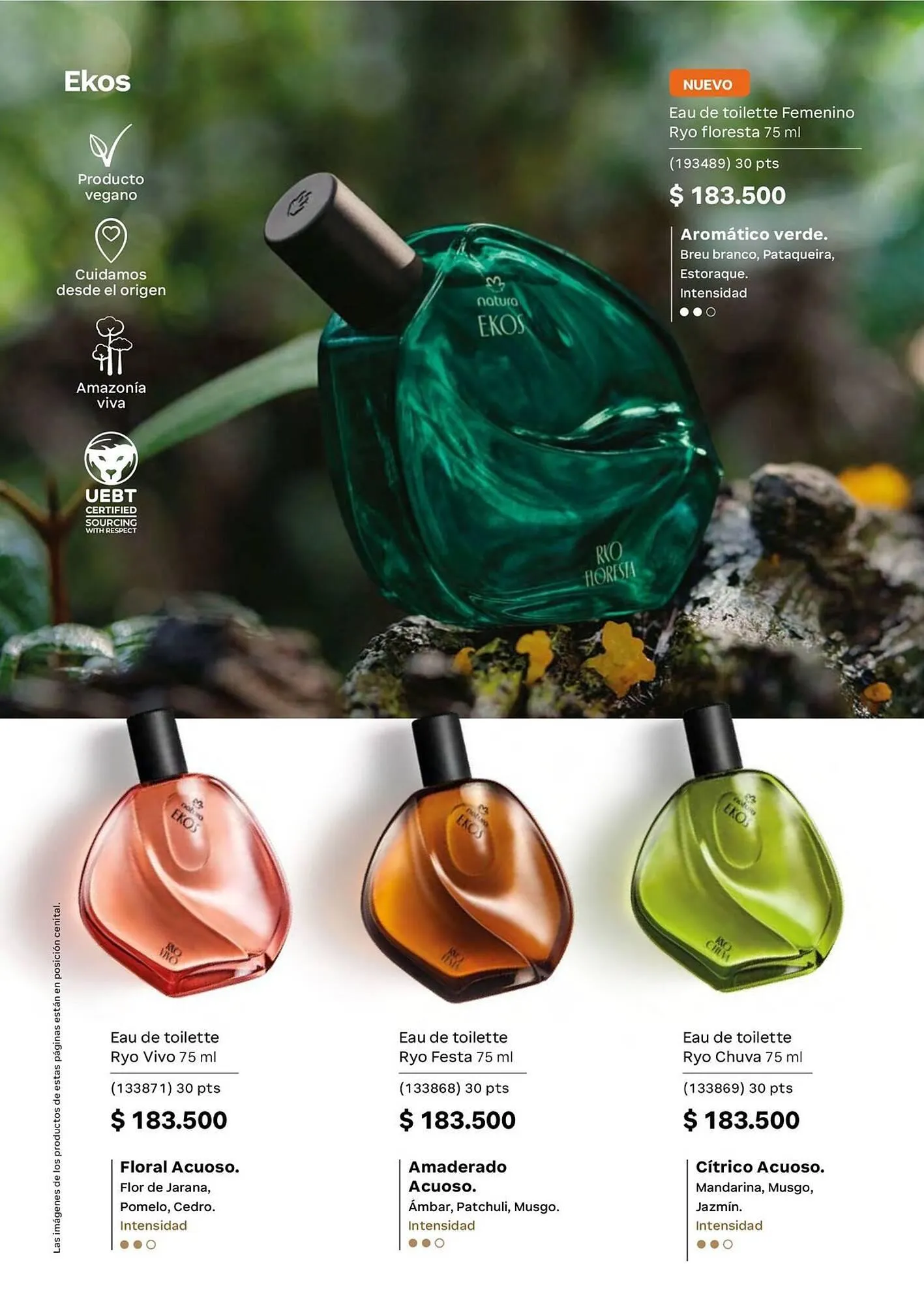 Catalogo de Catálogo Natura 1 de mayo al 31 de mayo 2026 - Pag 55