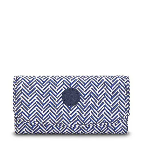 BILLETERA GRANDE MONEY LAND