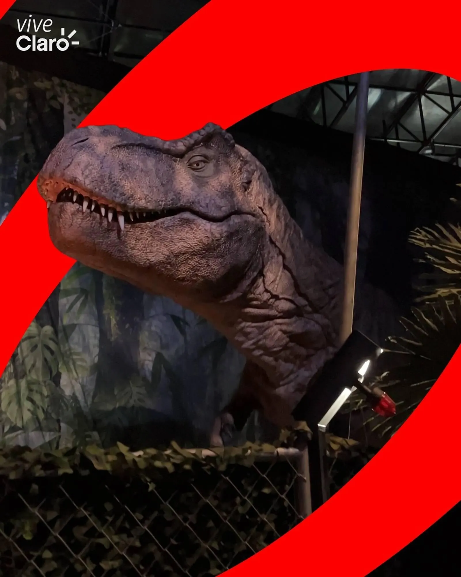 Catalogo de Catálogo Claro 24 de julio al 25 de julio 2025 - Pag 3