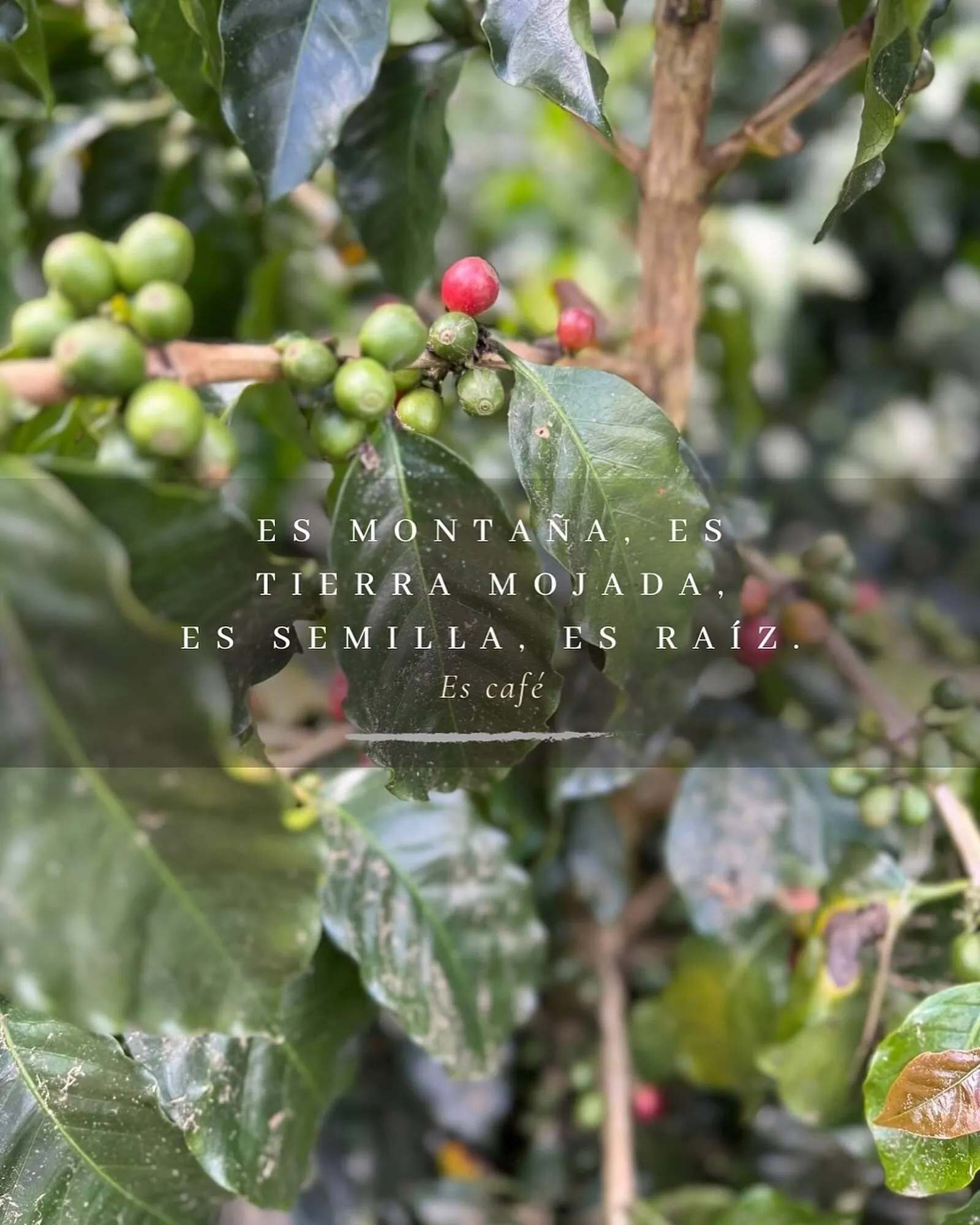 Catalogo de Catálogo HOSSH 4 de julio al 31 de julio 2025 - Pag 2