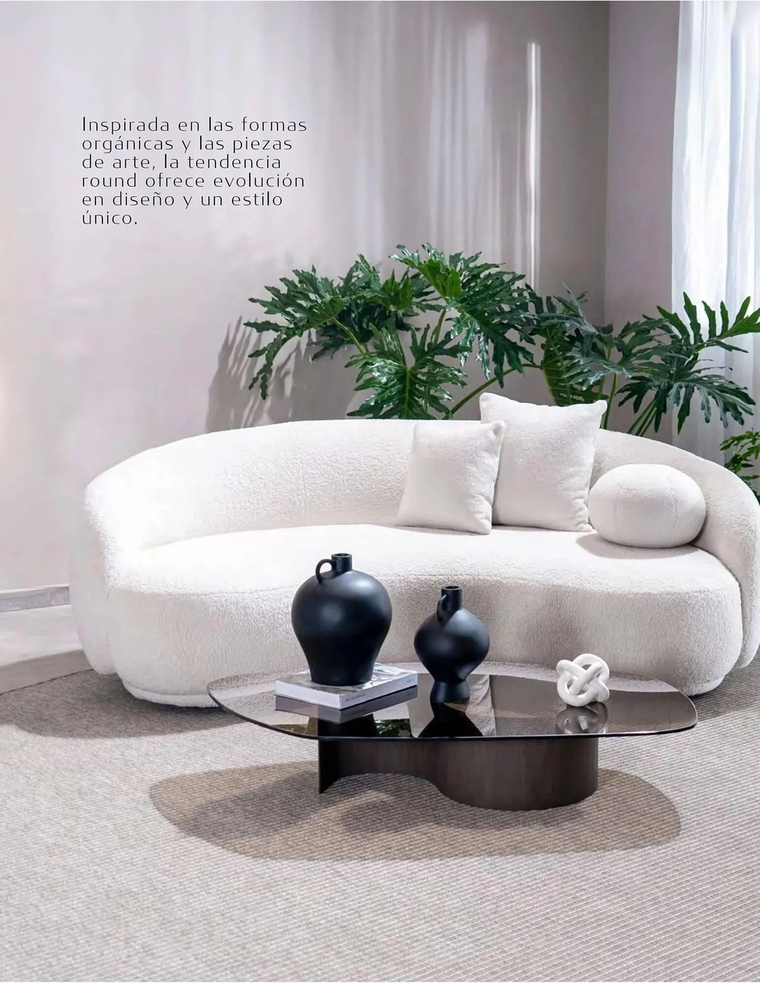 Catalogo de Catálogo Aristas 9 de febrero al 31 de diciembre 2024 - Pag 8