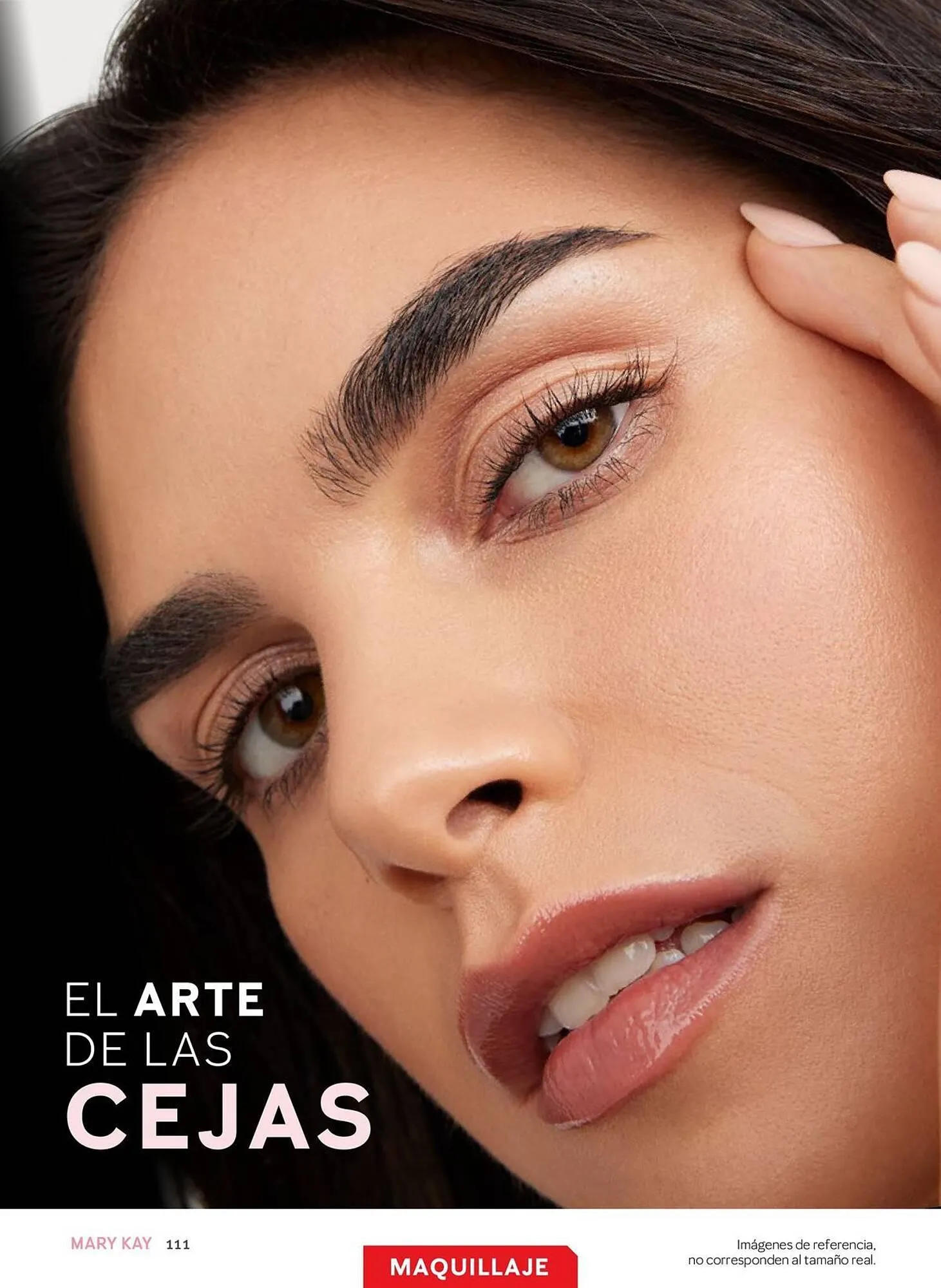 Catalogo de Catálogo Mary Kay 25 de marzo al 30 de abril 2025 - Pag 111