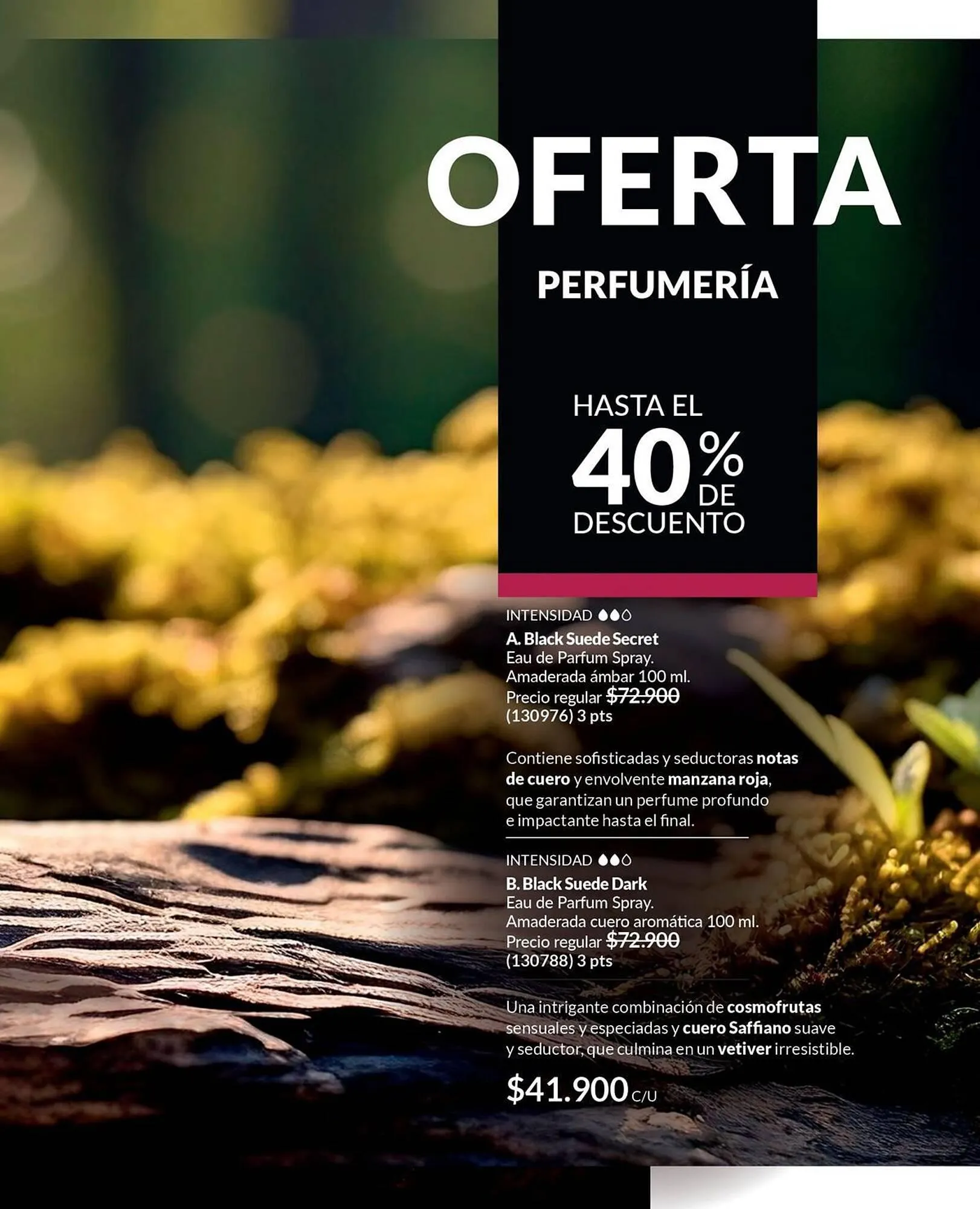 Catalogo de Catálogo Avon 17 de noviembre al 1 de diciembre 2024 - Pag 95