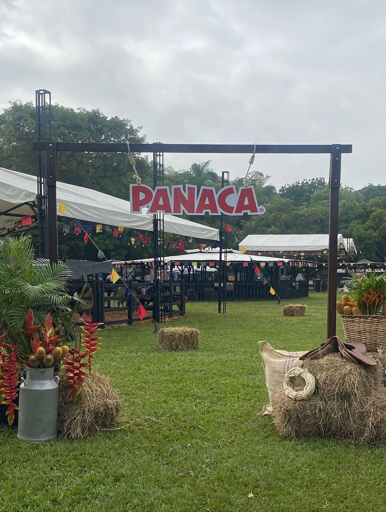 Catálogo Comfandi - 1