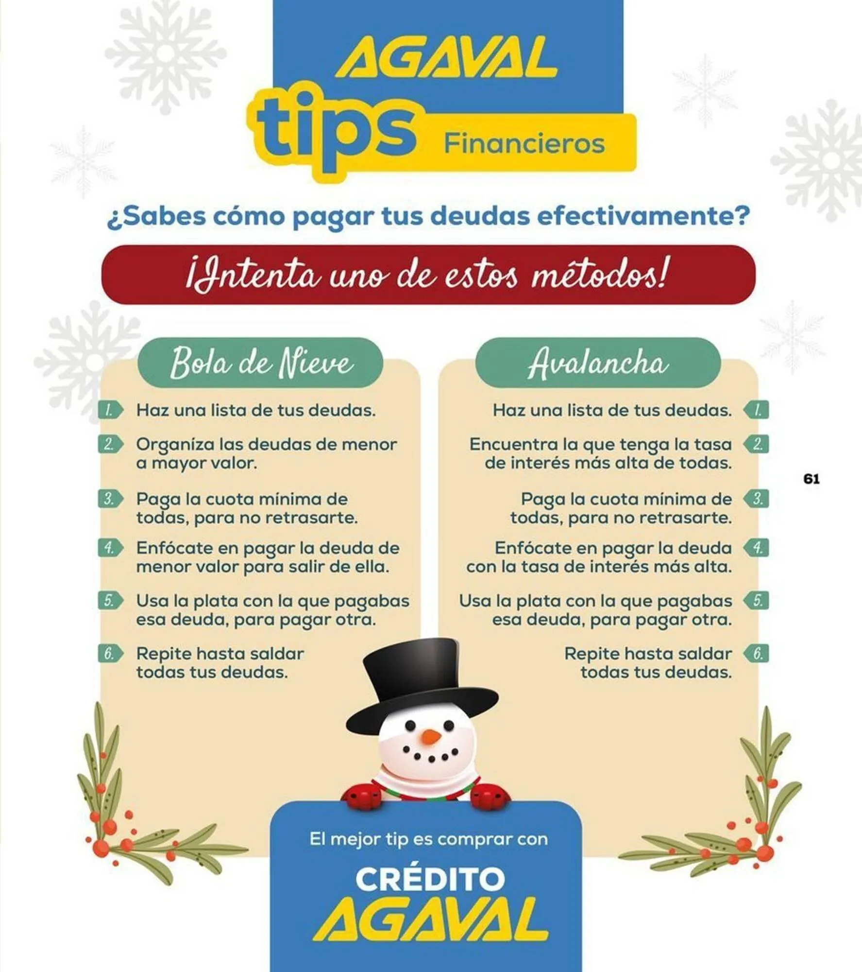 Catalogo de Catálogo Agaval 21 de noviembre al 31 de diciembre 2025 - Pag 61