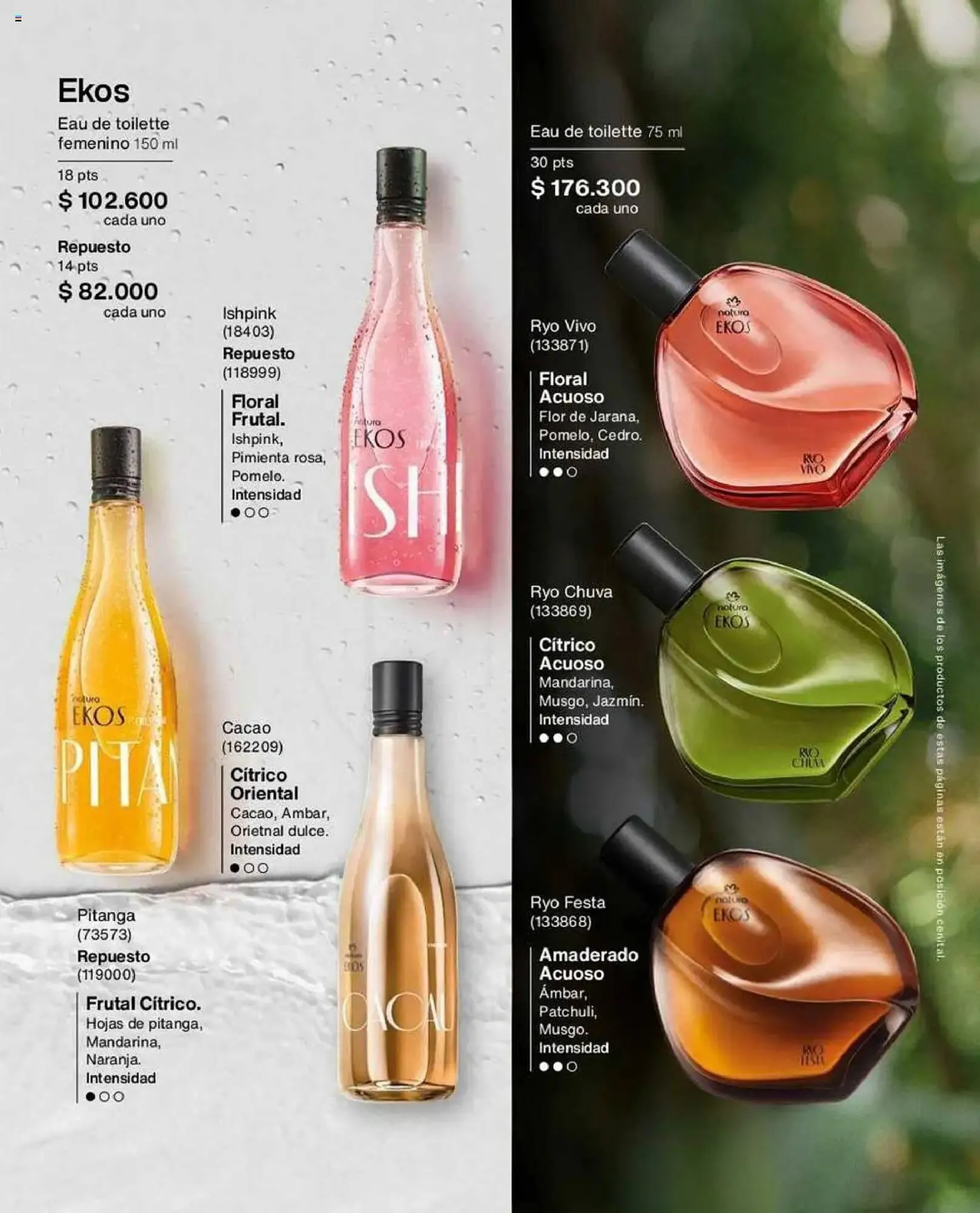 Catalogo de Catálogo Natura 12 de mayo al 15 de junio 2025 - Pag 36