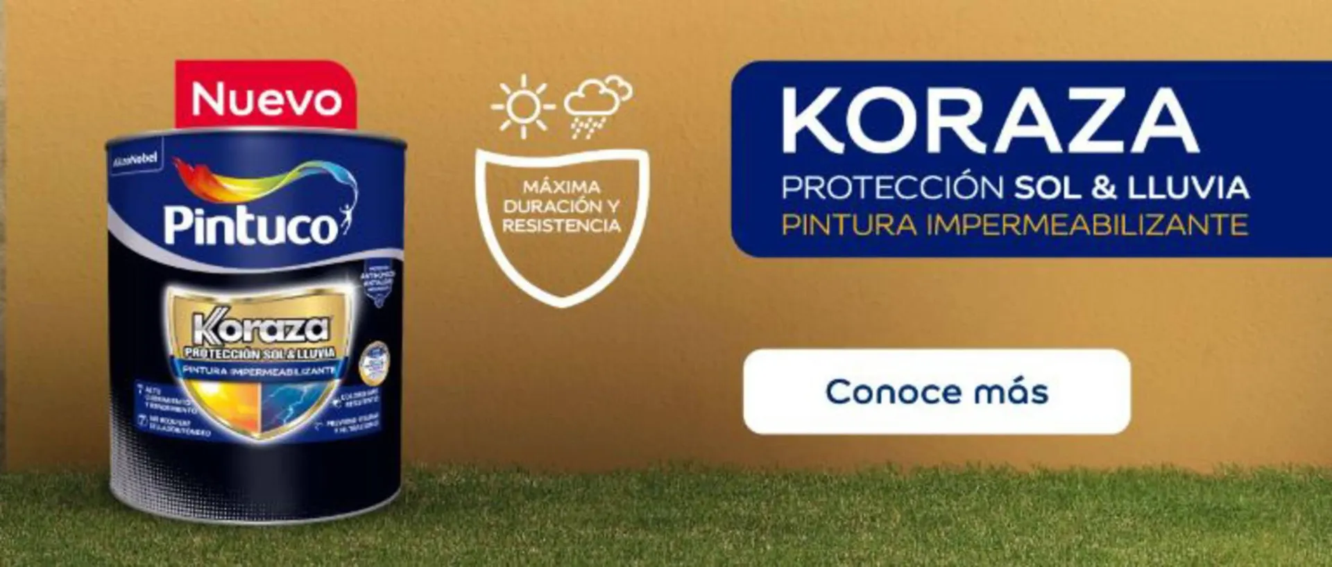 Catalogo de Catálogo Pintuco 8 de enero al 1 de febrero 2025 - Pag 2