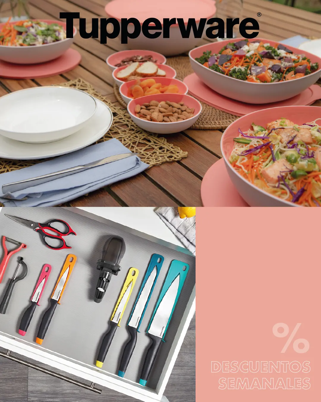 Tupperware ofertas de la semana - shop - 29 de diciembre 6 de enero 2025