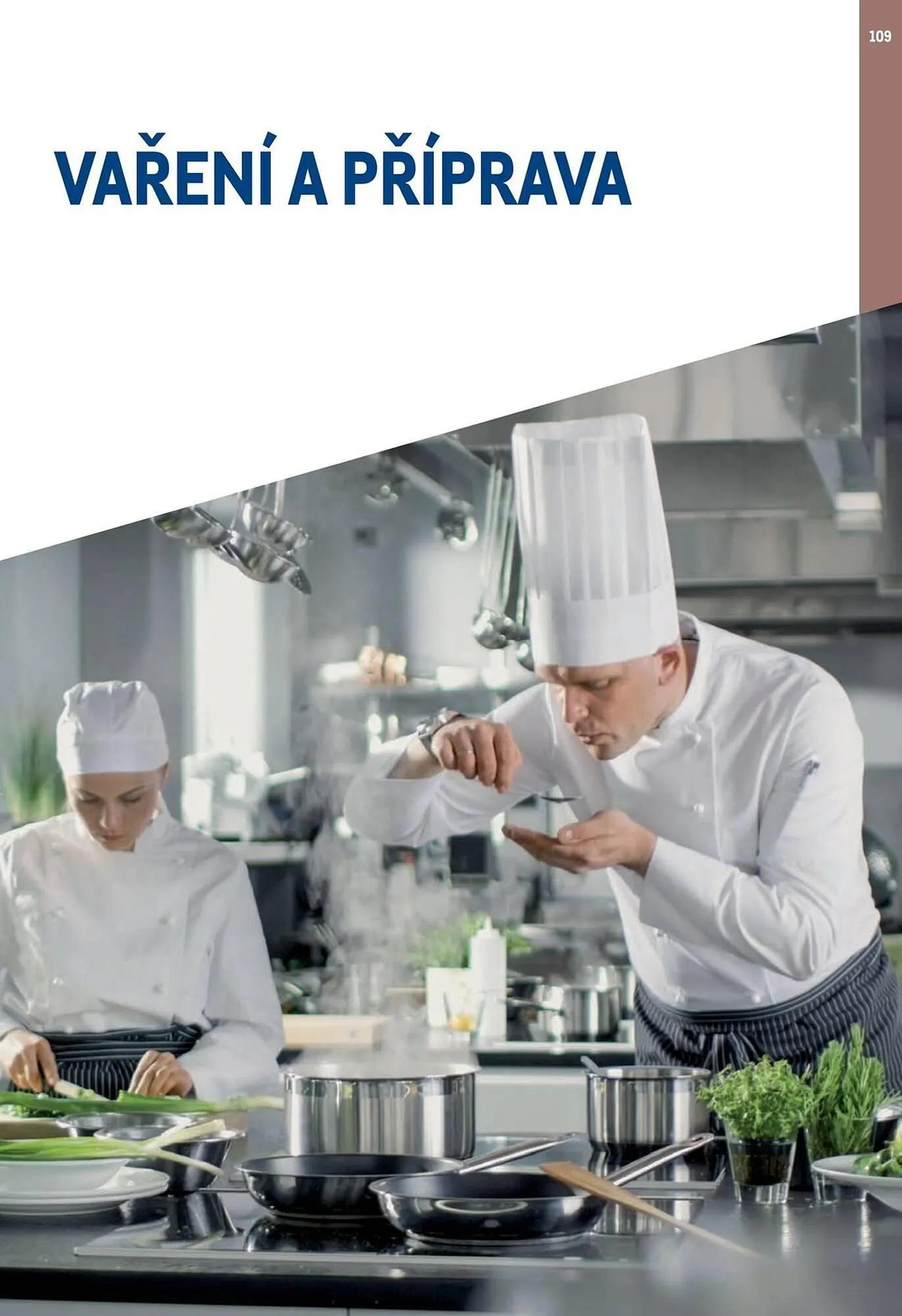 Makro leták - 2. února 31. ledna 2027 - Page 109