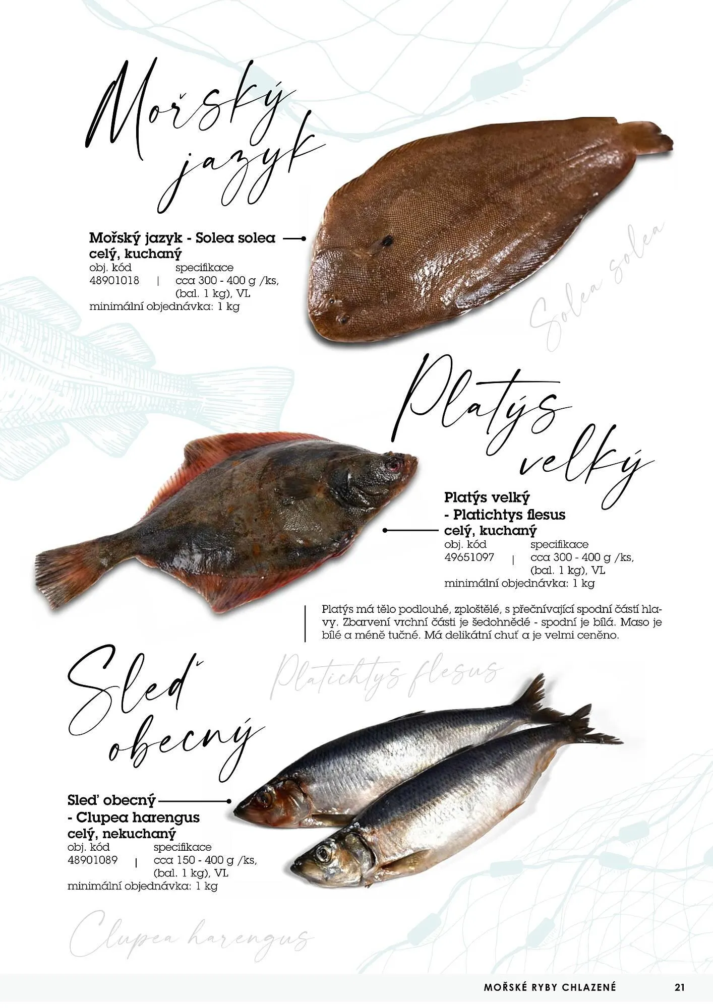 Jip RYBY leták - 22. května 29. prosince 2023 - Page 21