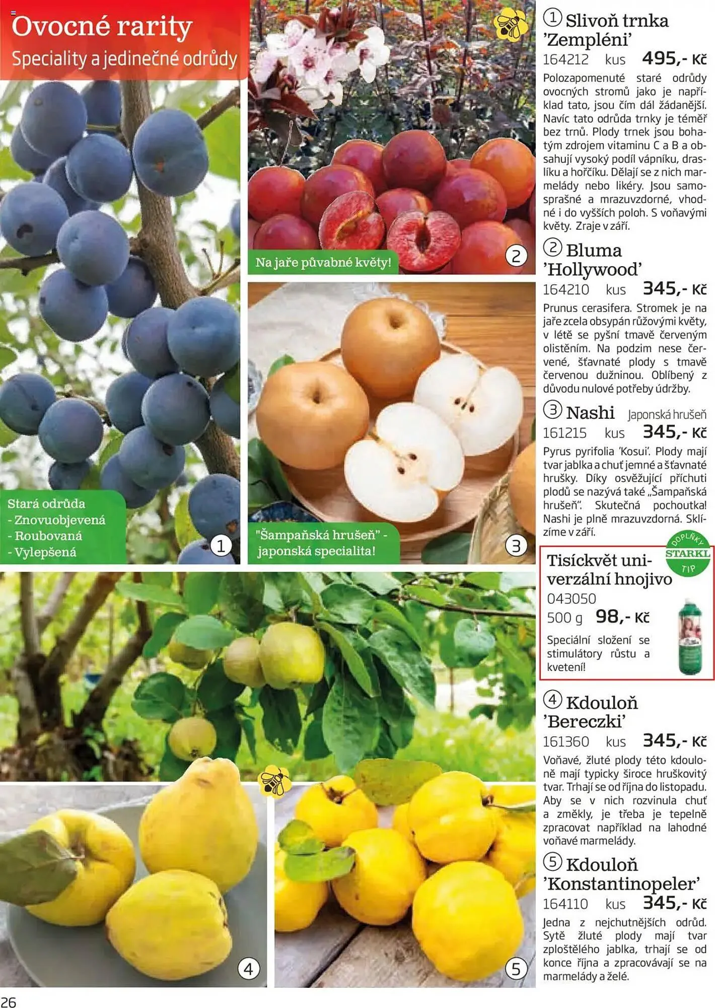 Starkl leták - 1. srpna 30. listopadu 2025 - Page 26