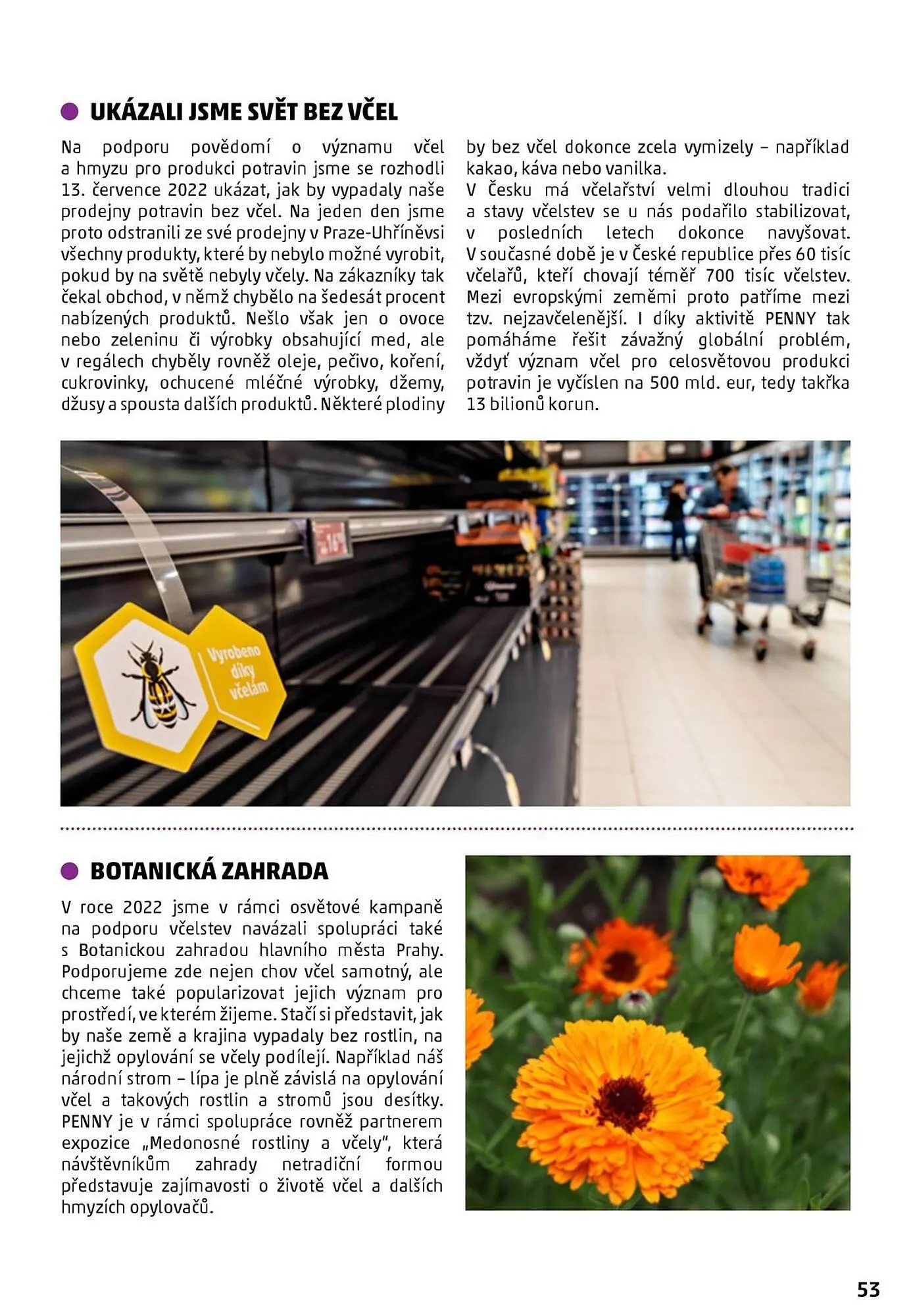 Penny Market leták - 22. listopadu 20. ledna 2026 - Page 53