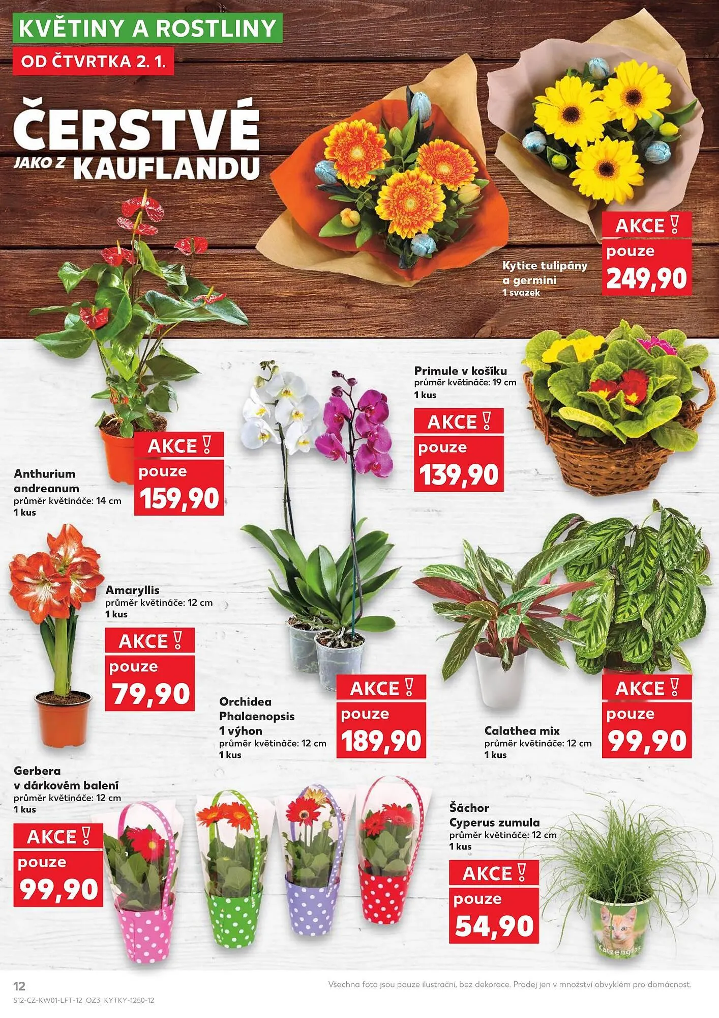 Kaufland leták - 2. ledna 7. ledna 2025 - Page 12