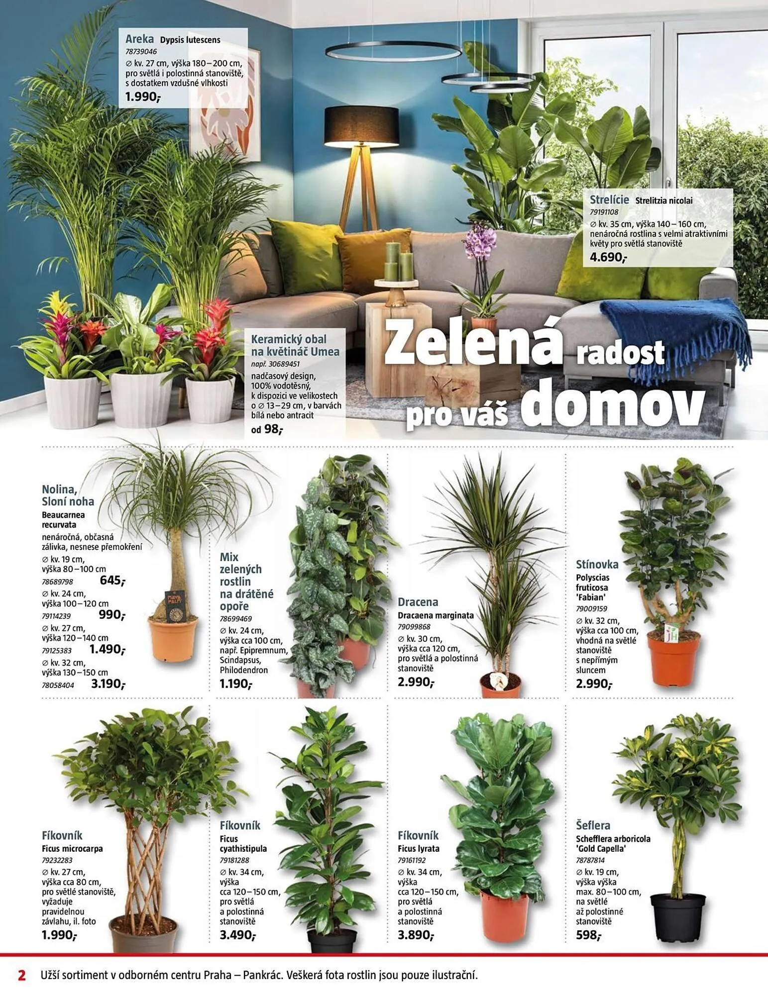 Bauhaus leták - 10. ledna 30. ledna 2025 - Page 2