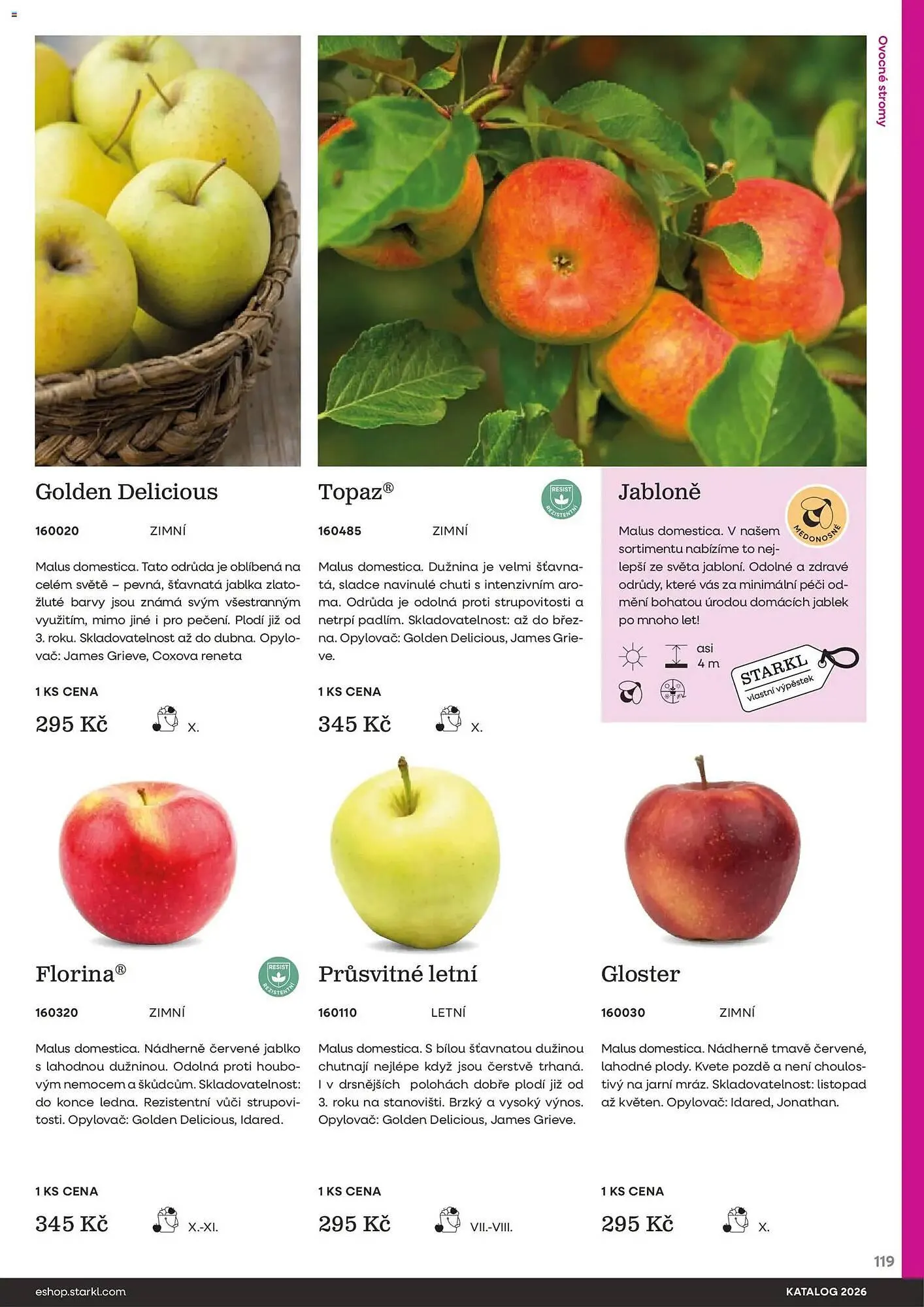 Starkl katalog - 25. února 31. prosince 2026 - Page 119