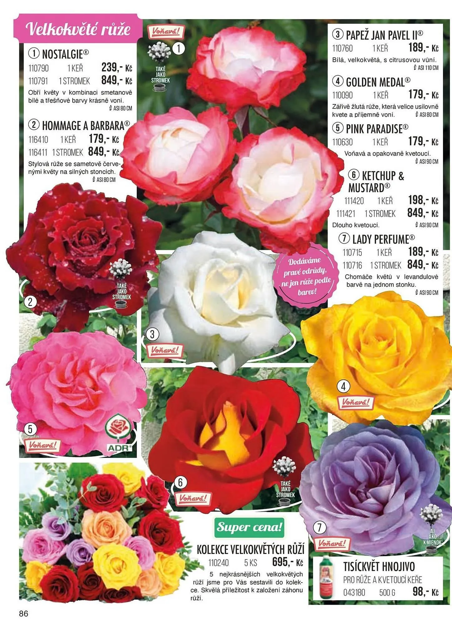 Starkl leták - 1. září 30. listopadu 2024 - Page 86