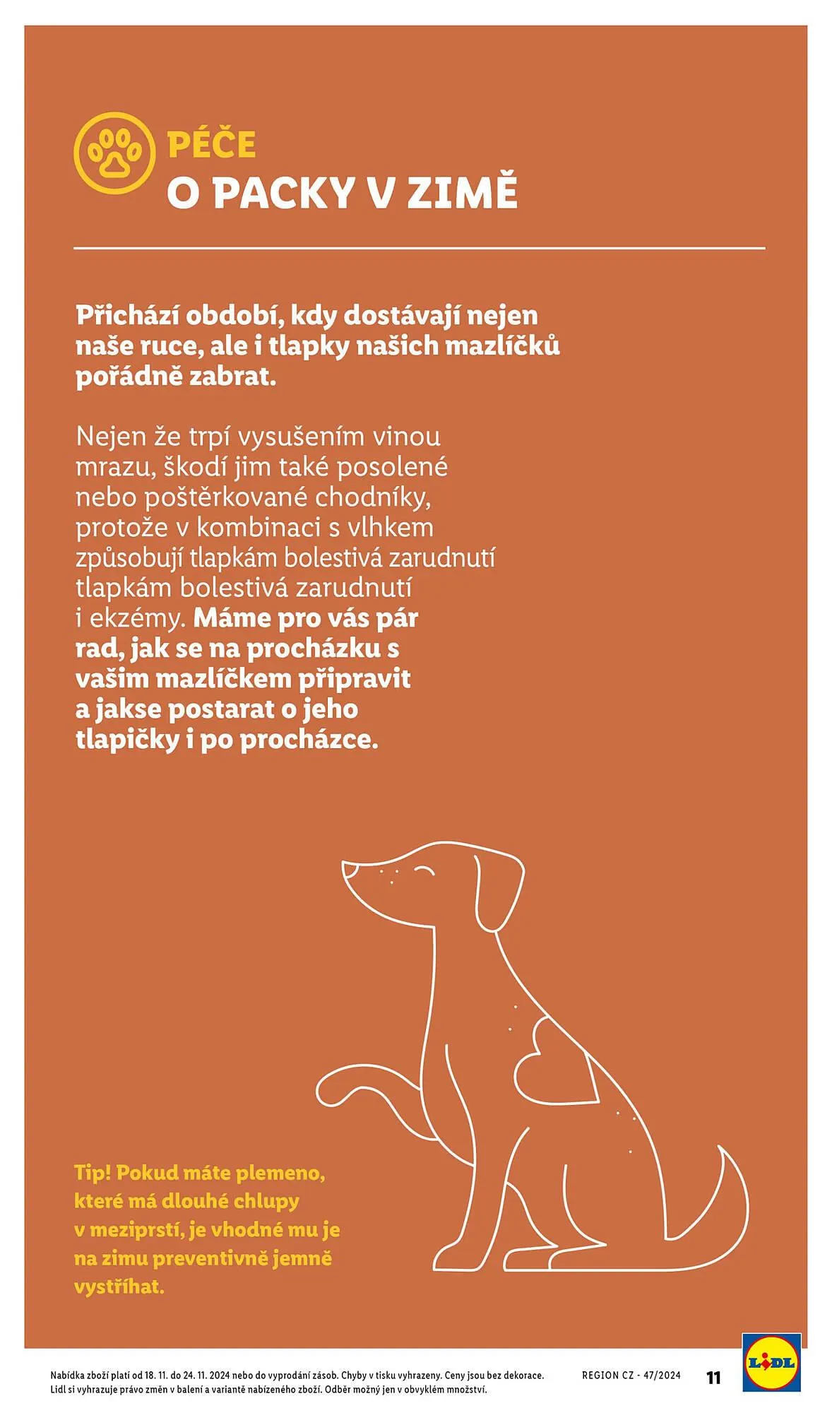 Lidl leták - 18. listopadu 24. listopadu 2024 - Page 11