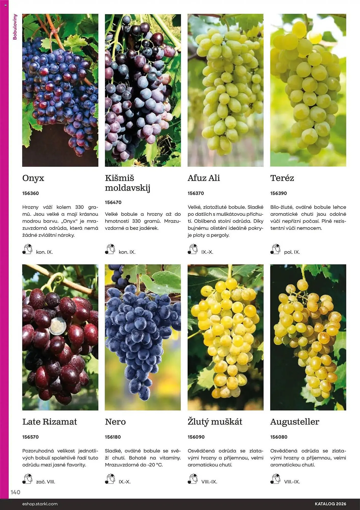 Starkl katalog - 25. února 31. prosince 2026 - Page 140