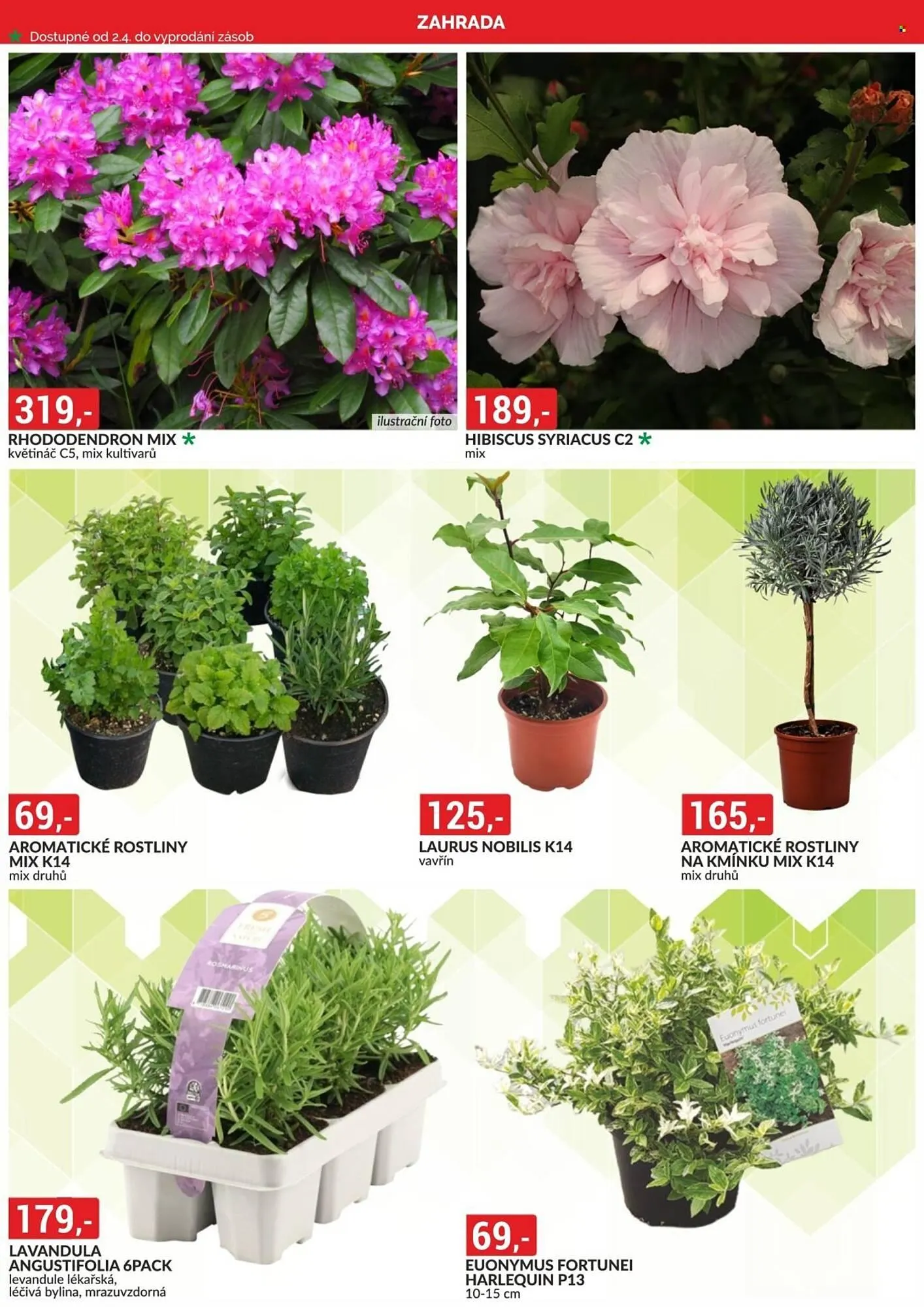 Baumax leták - 1. dubna 30. dubna 2026 - Page 4