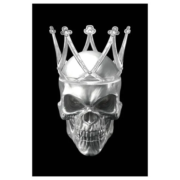 Obraz SKULL 2 80x120 cm, černobílé