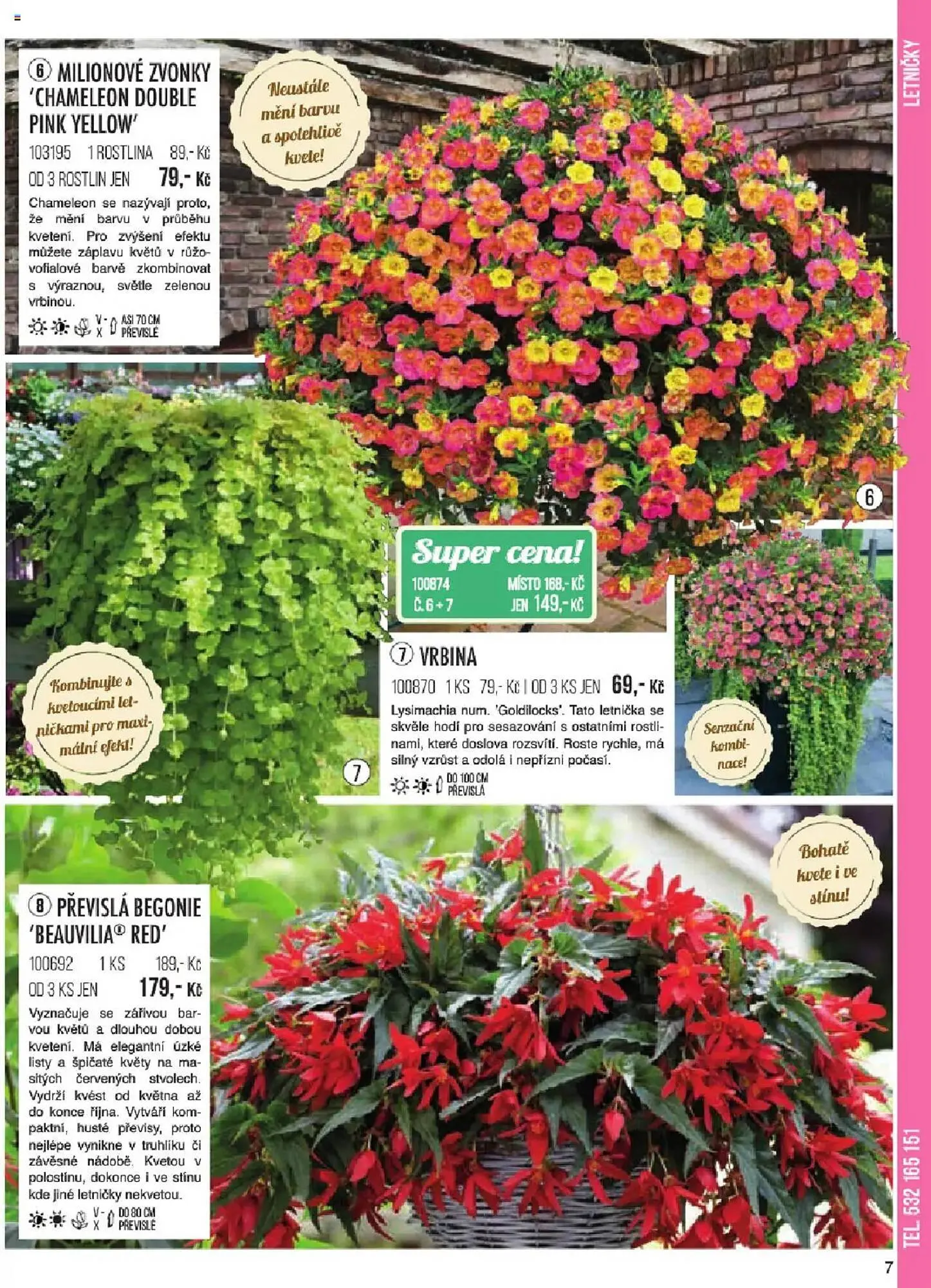 Starkl leták - 6. ledna 31. května 2025 - Page 7