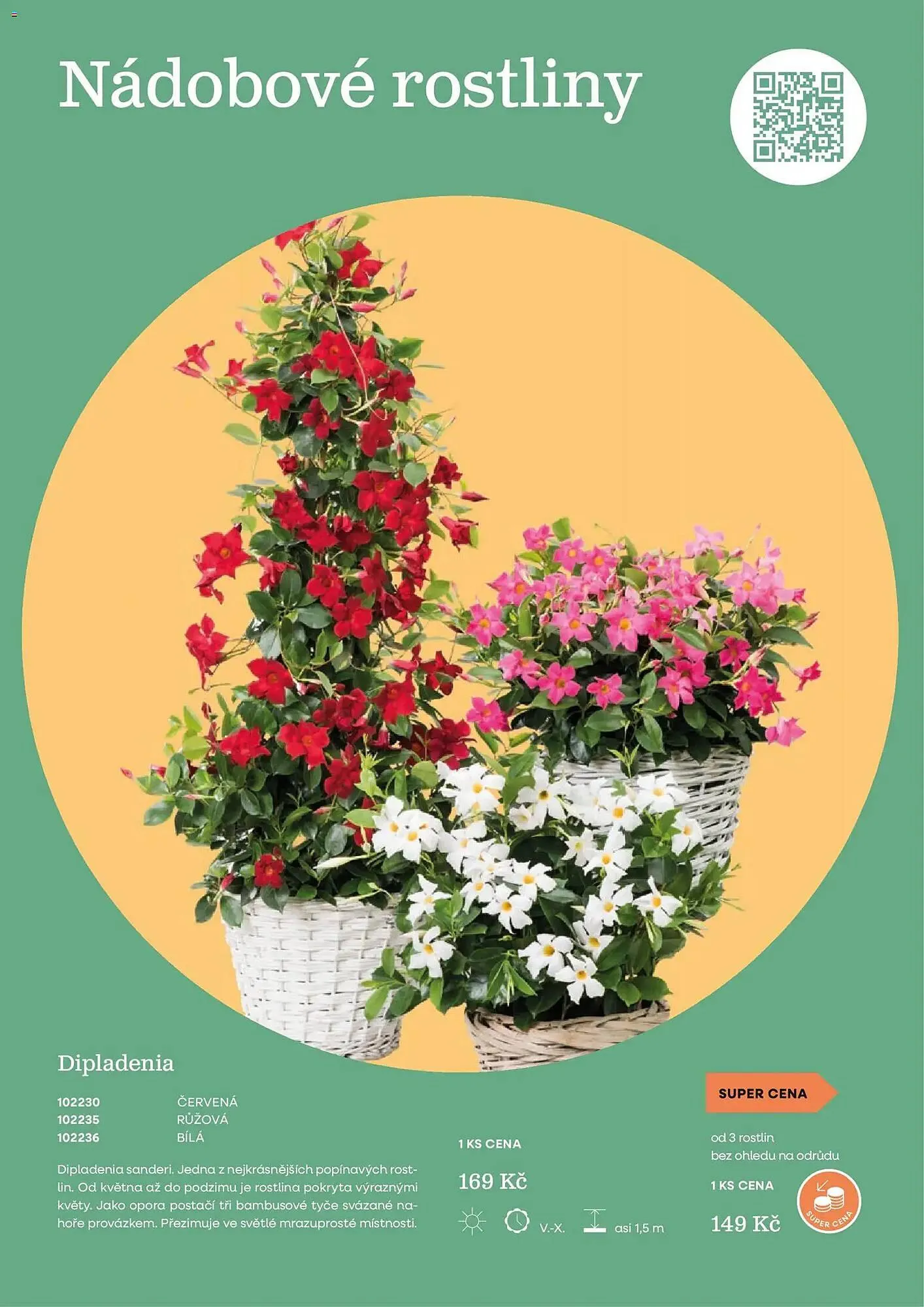 Starkl katalog - 25. února 31. května 2026 - Page 23