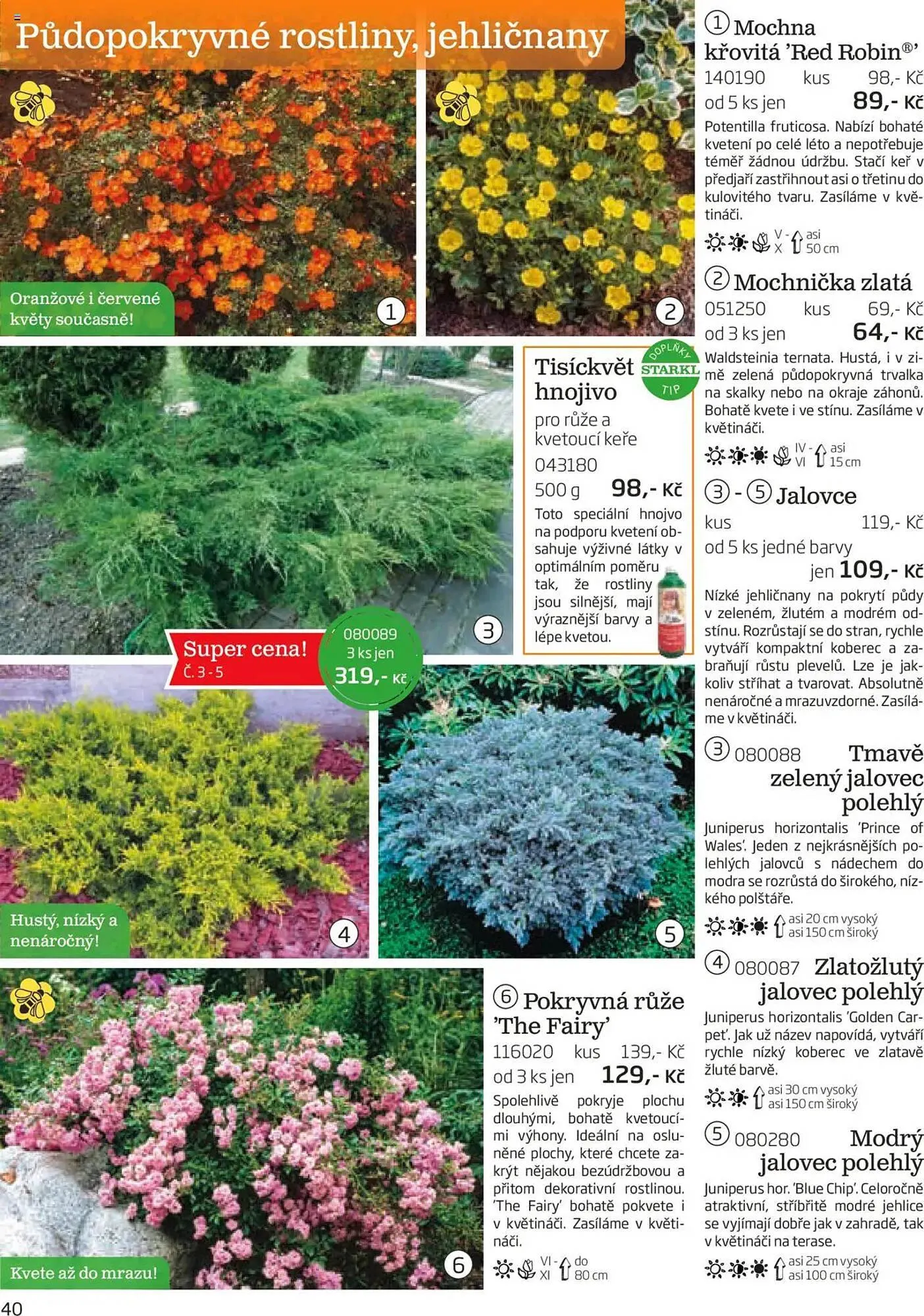 Starkl leták - 1. srpna 30. listopadu 2025 - Page 40