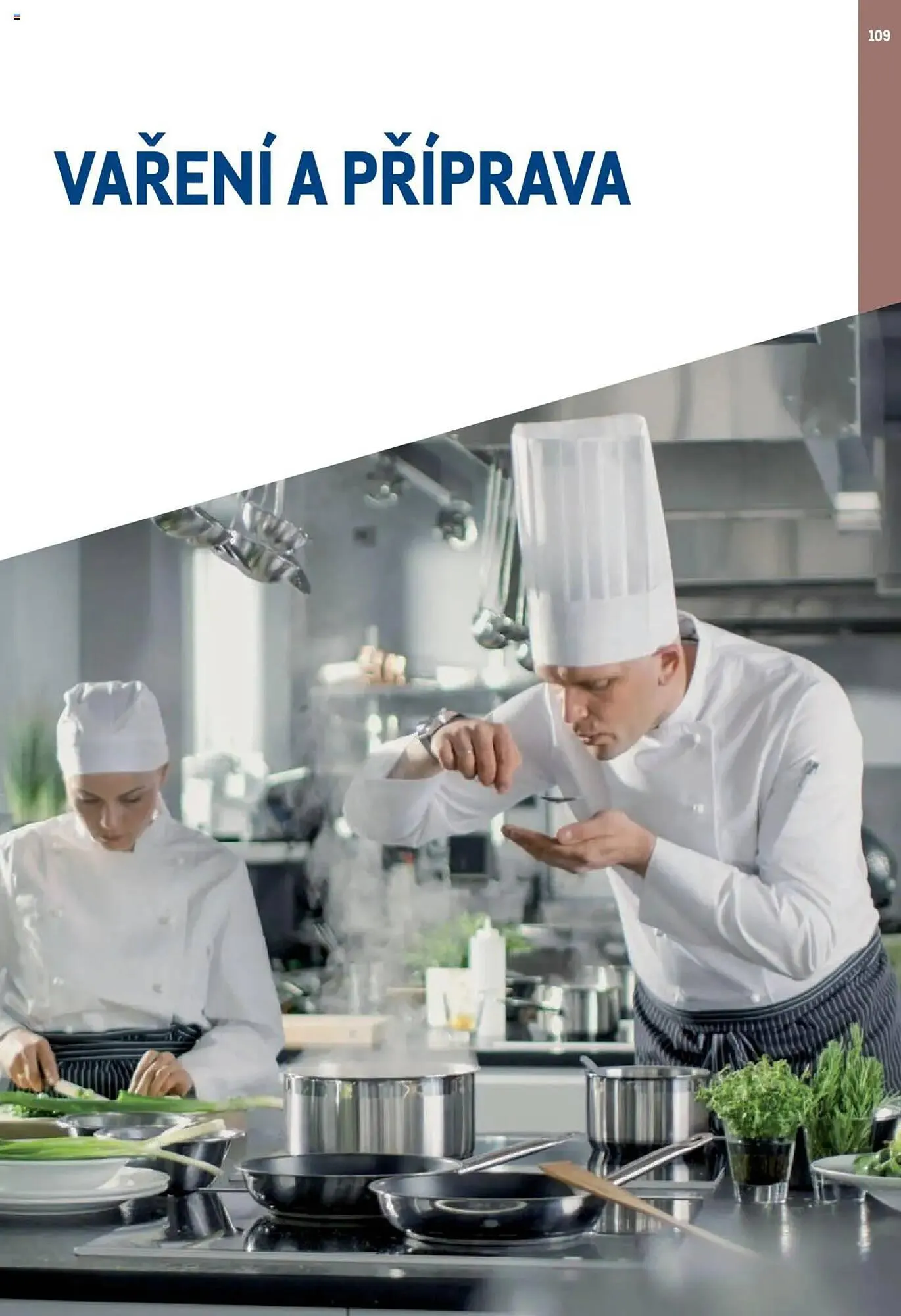 Makro leták - 1. února 31. ledna 2026 - Page 109