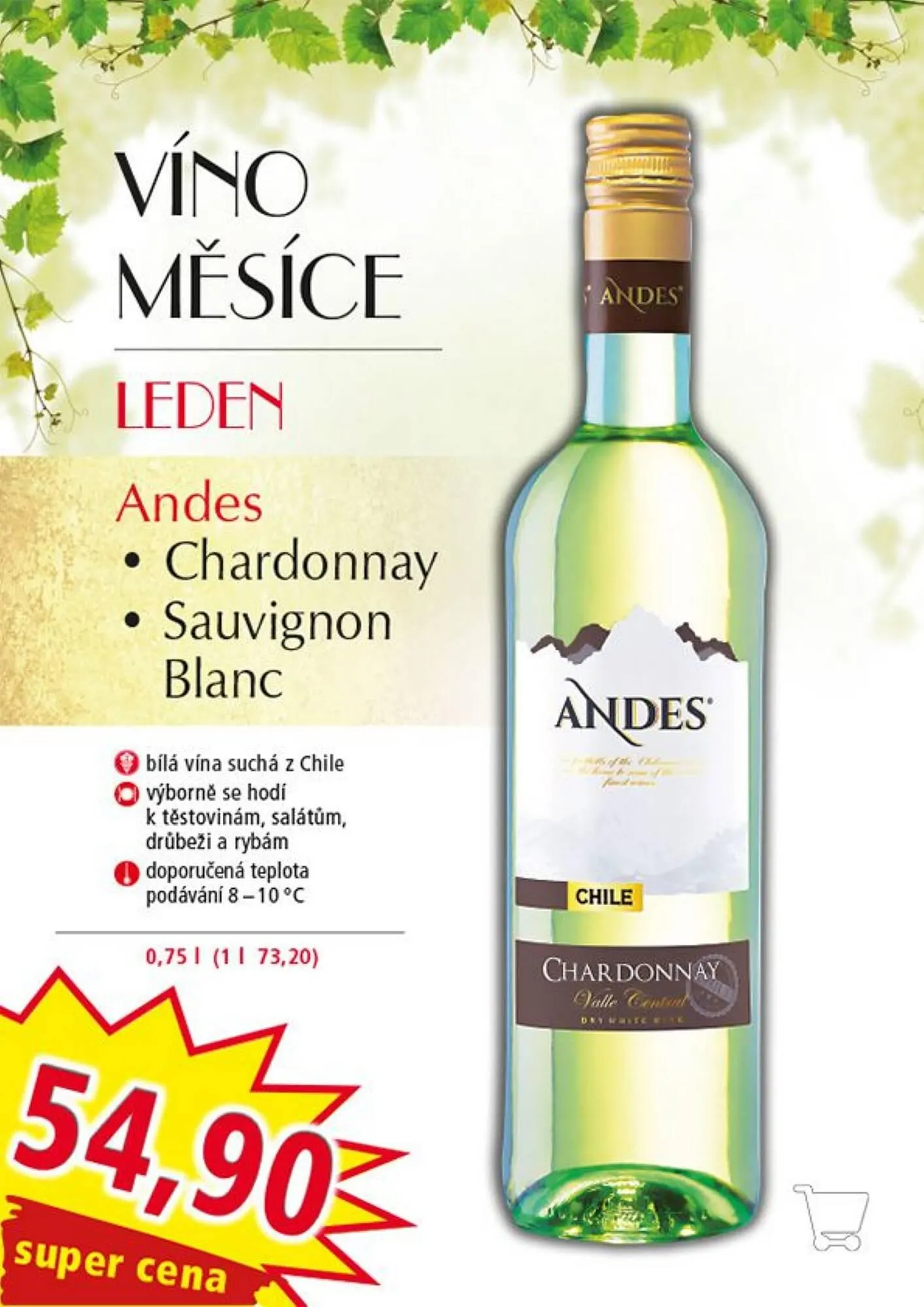 Norma leták - 1. ledna 31. ledna 2026 - Page 1